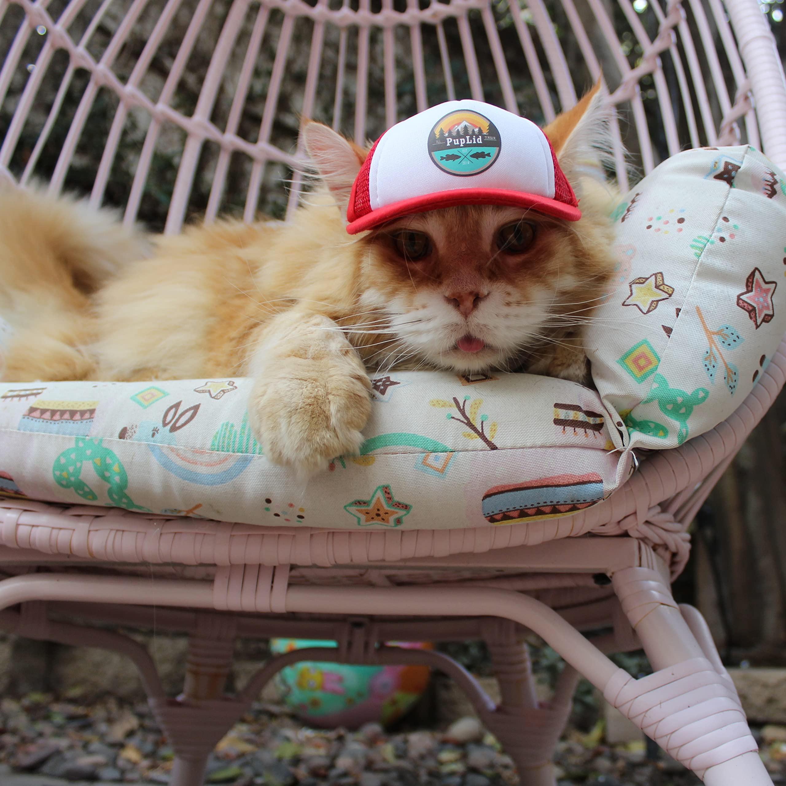 Puplid Trucker Hats For Kittens - Premium Stylish Sun Protection For The Modern Cat - Adjustable Secure Fitting Cat Hat (Red, Al