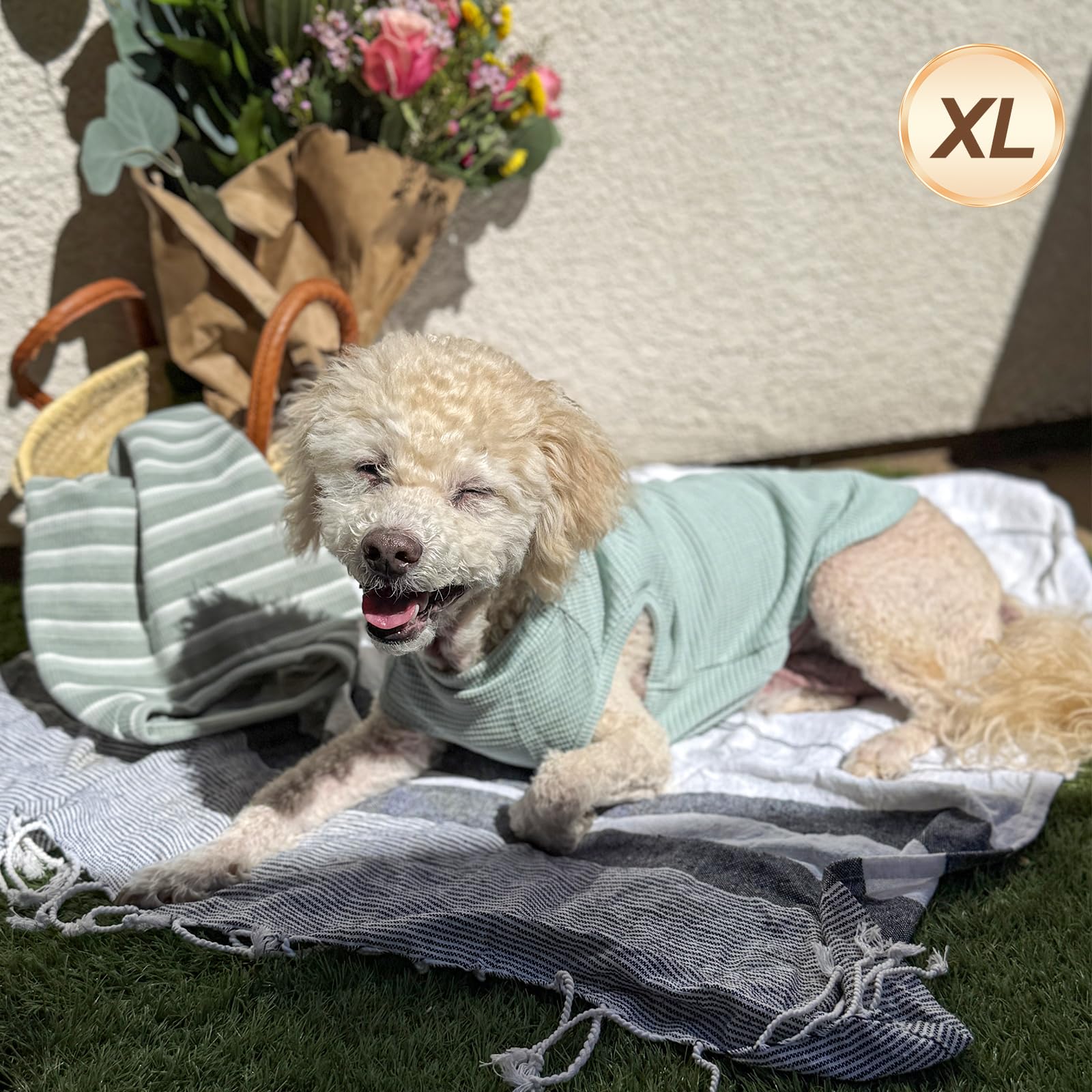 Kyeese 2Pack Waffle Dog Shirts For Small Dogs Stretchy T-Shirts Lightweight Tank Top Sleeveless Striped Vest Breathable Pet Tee,