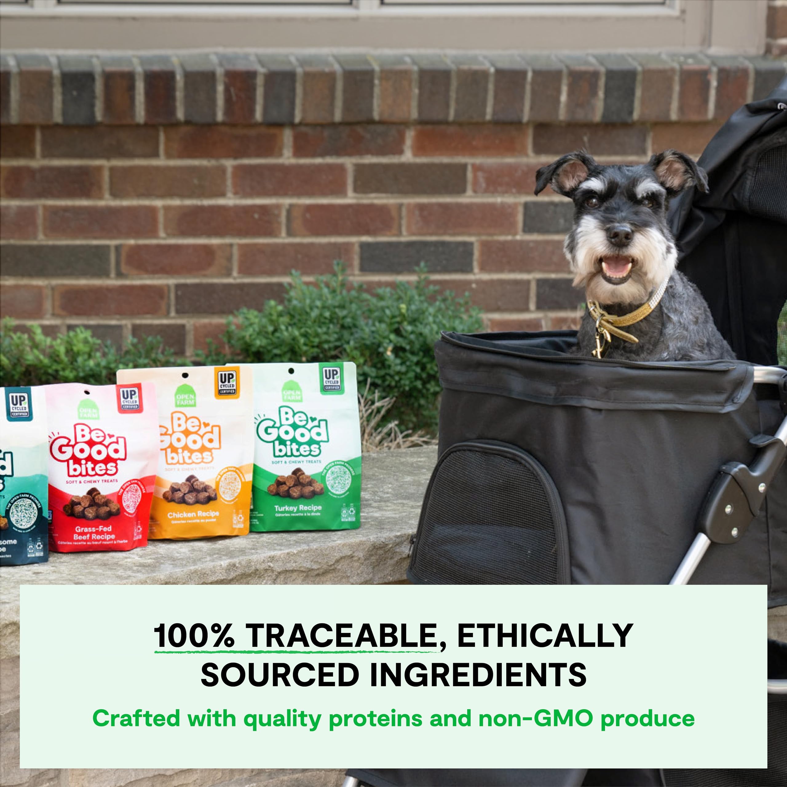 Open Farm, Be Good Bites, Soft Dog Training Treats, Small & Chewy, Made with Ethically & Sustainably Sourced Ingredients, Non-GM
