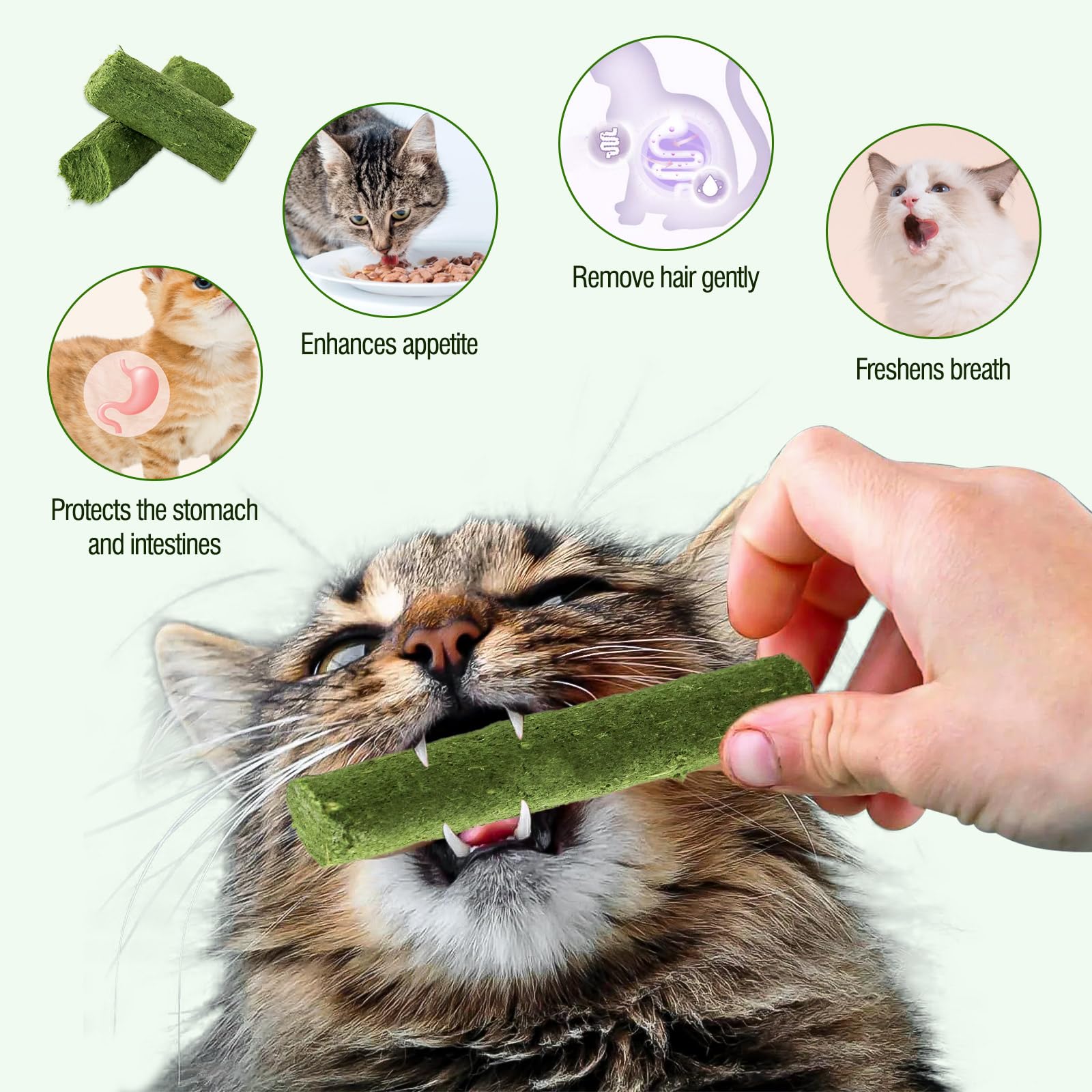 Hkpetie 225g Cat Grass Teething Stick, Delicious Cat Treat Snack Edible Cat Chew Toy for Teeth Cleaning and Hairball Removal in