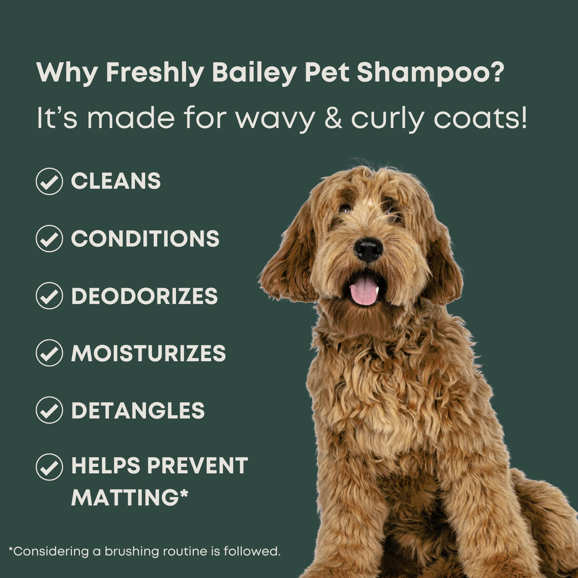 Doodle Shampoo and Conditioner - Best Dog Shampoo for Goldendoodle, Poodles, Doodle Breeds - for Curly & Wavy Coats - Natural In