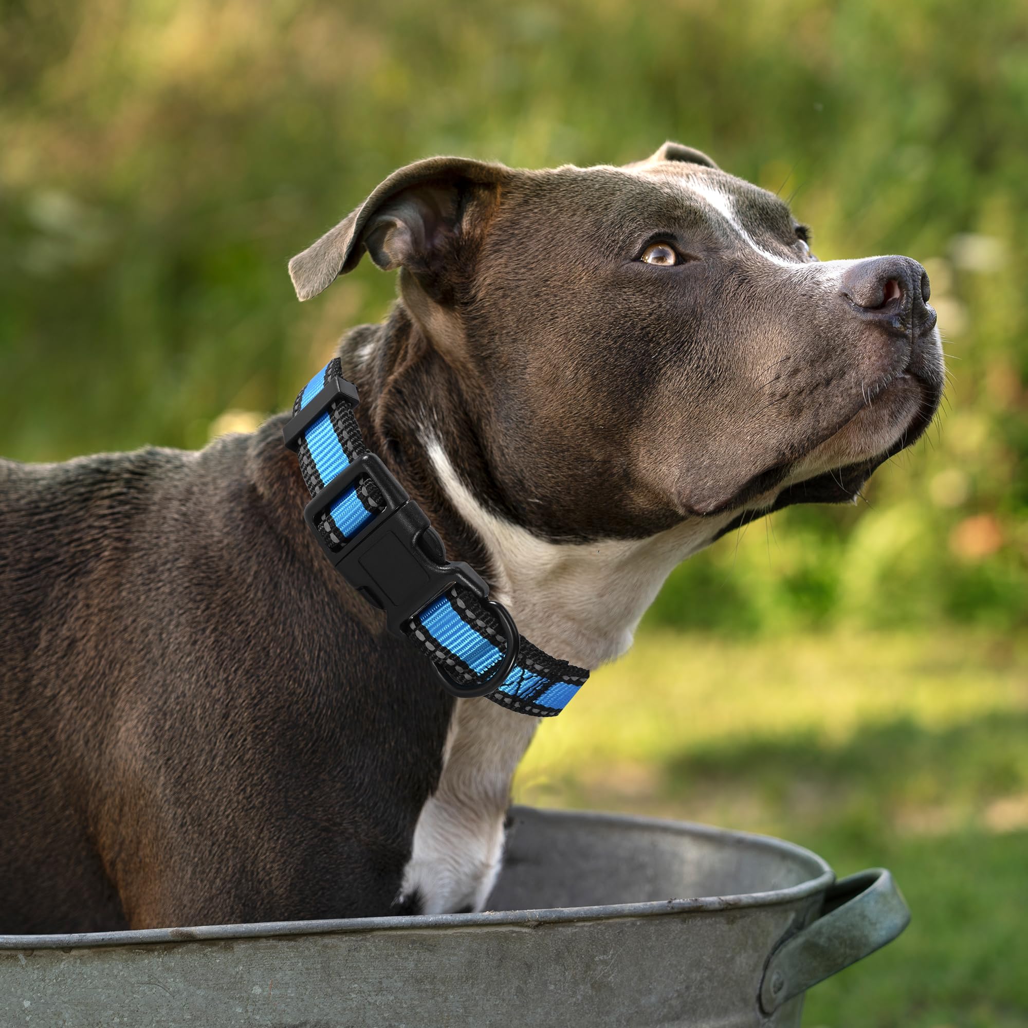 Mile High Life Dog Collar | Nylon Reflective Dog Collars | Light Weight Puppy Collars | Blue Dog Collars For Small Dogs (Blue, X