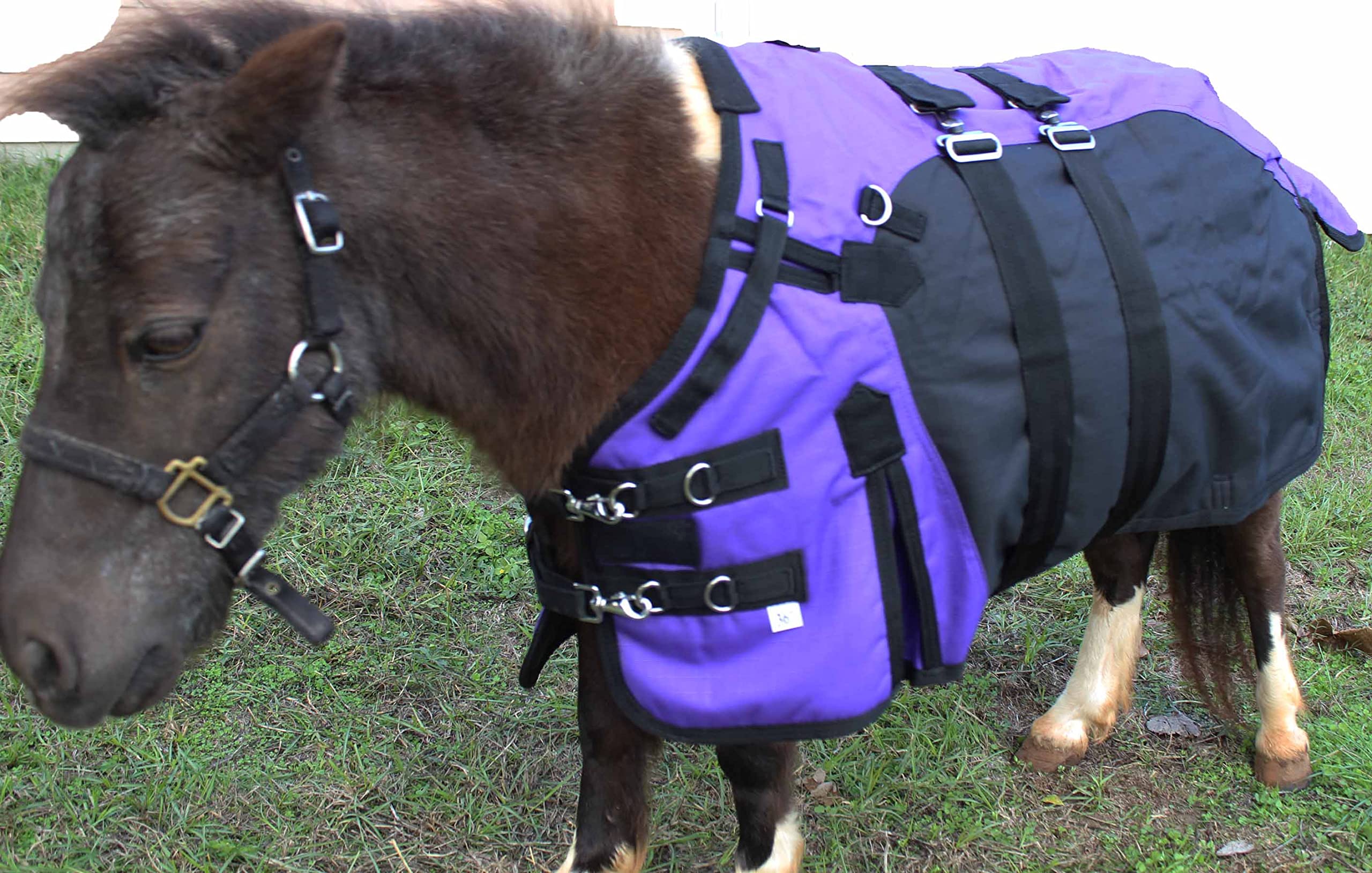 Challenger 36'' 1200D Miniature Weanling Donkey Pony Horse Foal Winter Blanket 51975Pr