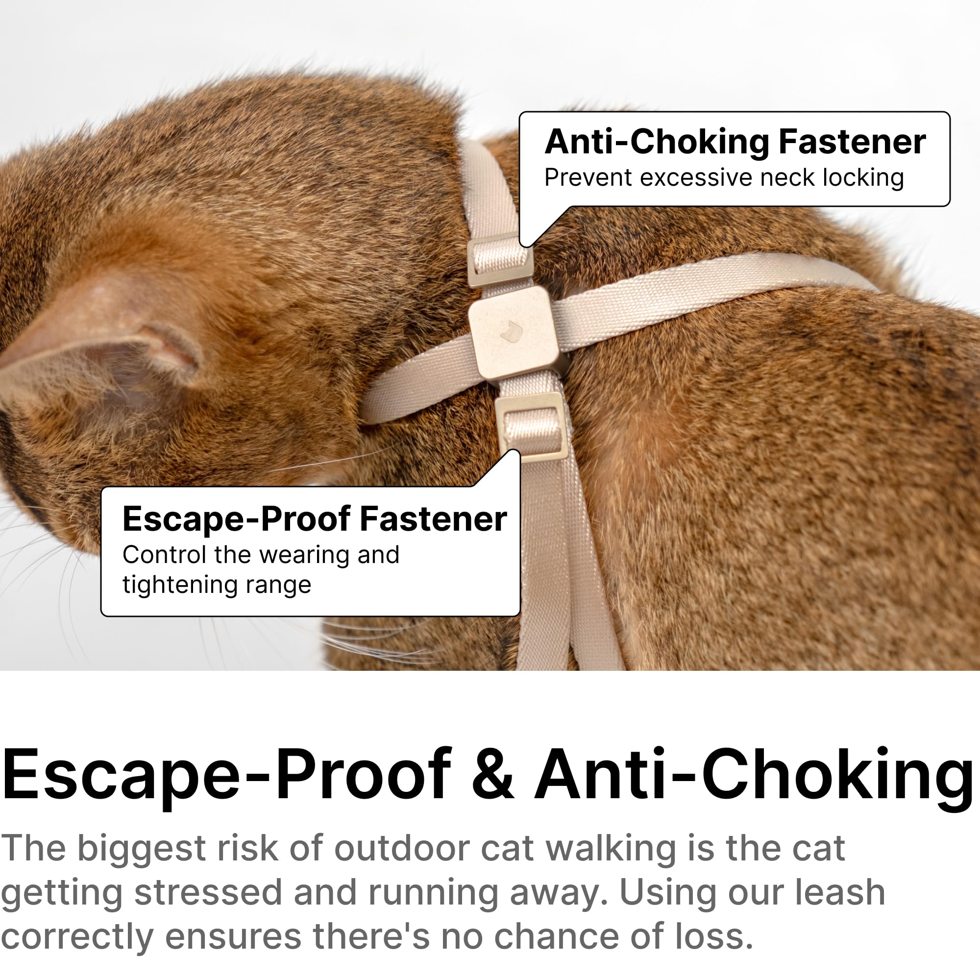Buddyarmor Cat Harness Escape-Proof Anti-Choking Adjustable Nylon Harness Lightweight With Anodized Aluminum Buckle, Ideal For C