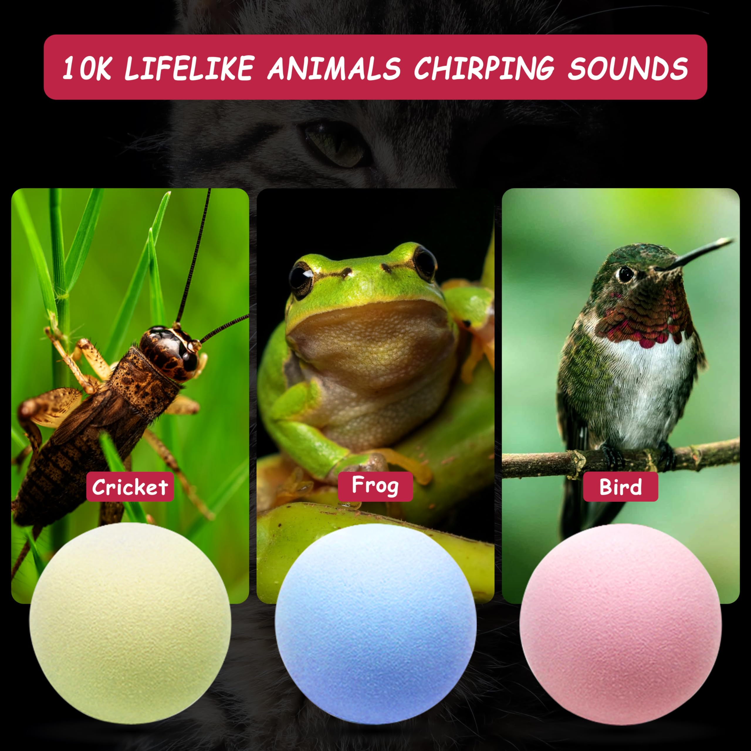 Zalbyuy Cat Toy Balls With Sound, Chirping Cat Toys With Catnip, 3 Pcs Eva Rolling Toy Balls, Interactive Kitten Toys For Indoor