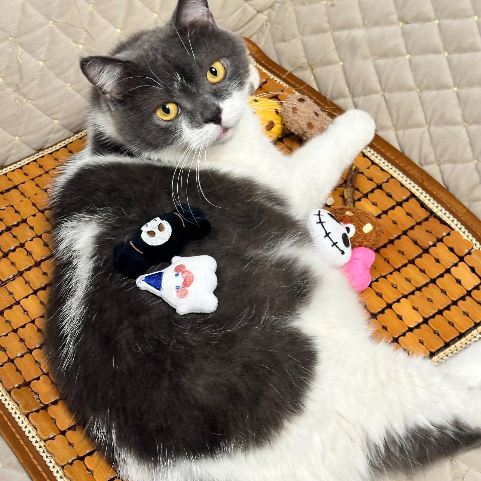 Cece Paw 6 Pack Catnip Toy, Filled Teething Chew Toys, Interactive Kitten Chew Bite Toys For Boredom Relief, For Cats And Cat Lo