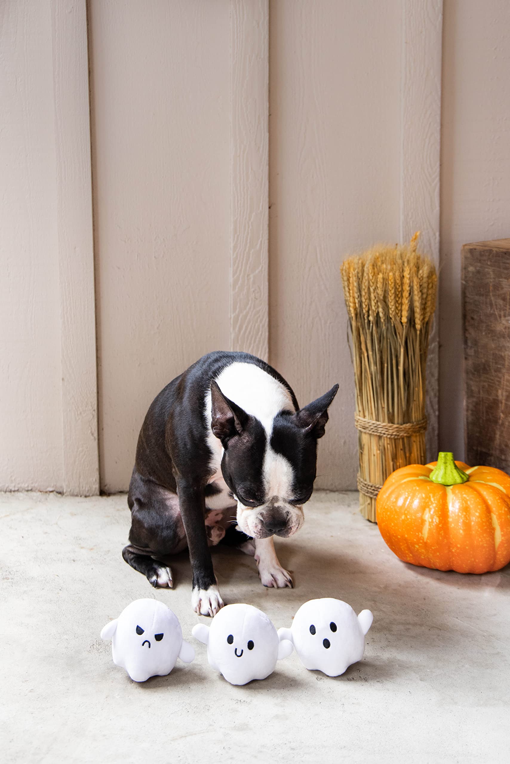 Pearhead Plush Squeaky Ghost Dog Toys, Halloween Stuffed Pet Toy, Dog Owner Must Have Accessories, Spooky Ghosts Fall Dog Toys, Set Of 3