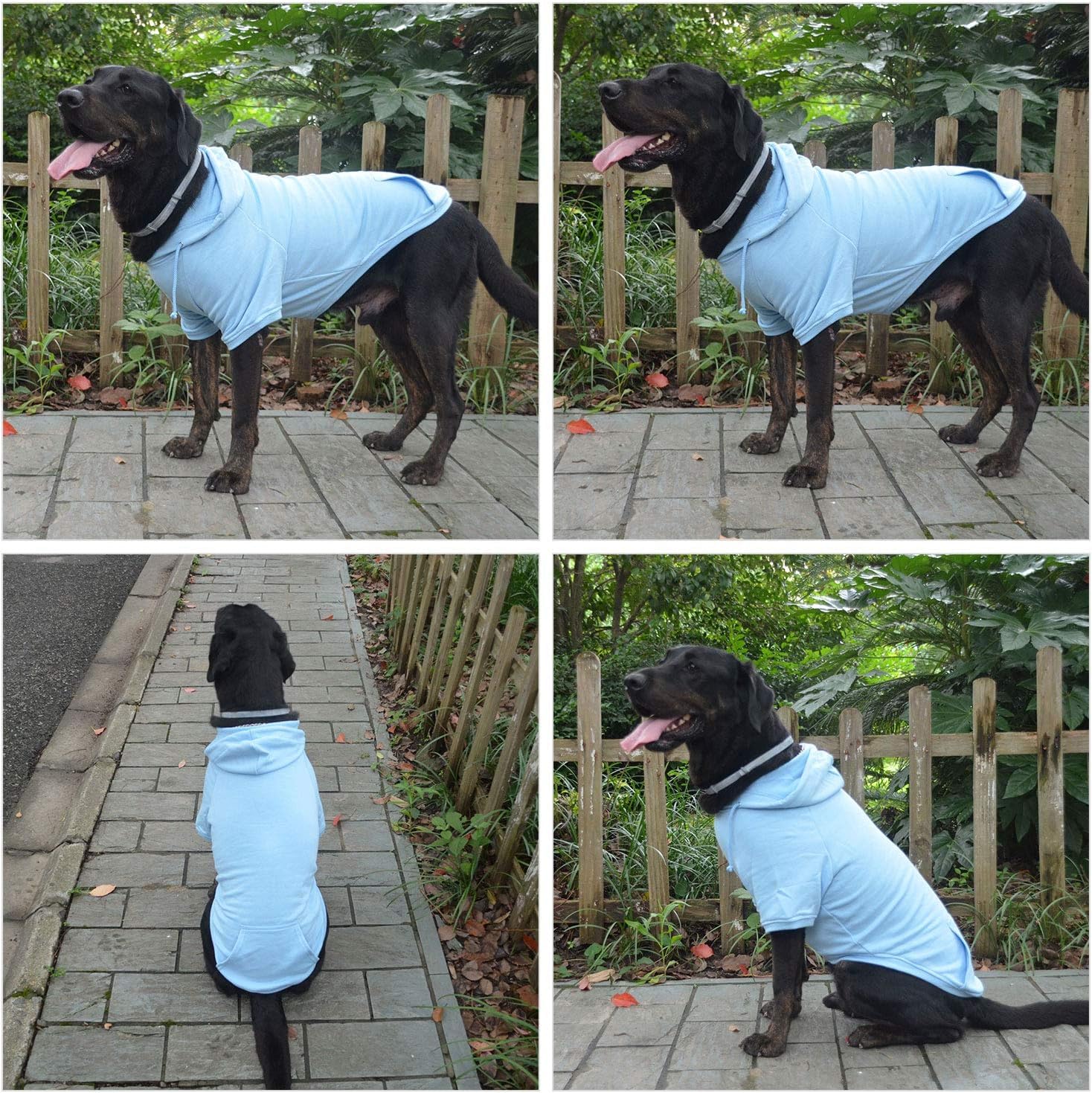 Lovelonglong Pet Clothing Clothes Dog Coat Hoodies Winter Autumn Sweatshirt For Small Middle Large Size Dogs 11 Colors 100% Cotton 2018 New (S, Sky-Blue)