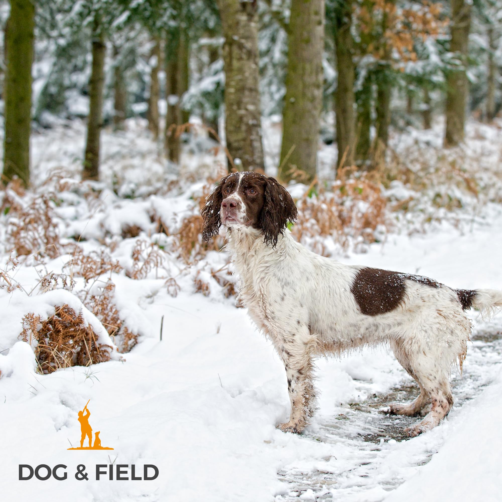 Dog & Field Figure 8 Anti Pull Lead/Halter/Head Collar - One Size Fits All - Soft Braided Nylon - Comfortable, Supple, Secure And Proven To Make Your Walks More Enjoyable - No More Pulling! (Blue)
