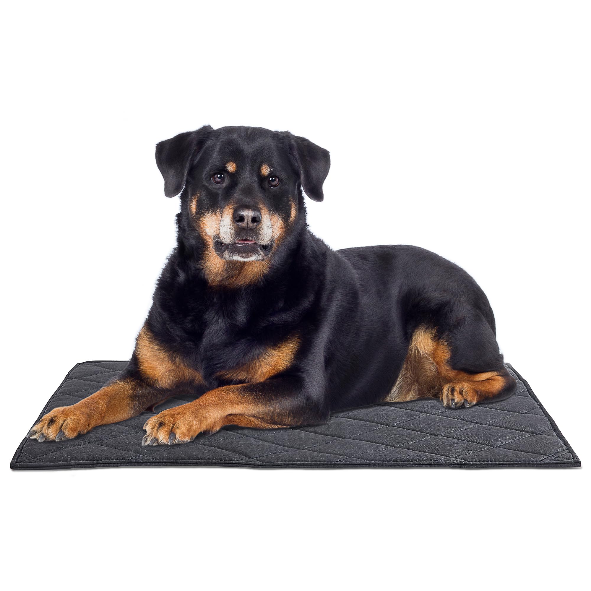 Mabozoo Durable Chew Proof Dog Bed, Tough Indestructible Dog Crate Mat For Aggressive Chewers, Washable Pet Bed For Medium Dog,Waterproof Dog Bed For Kennel,Black 22X35 In