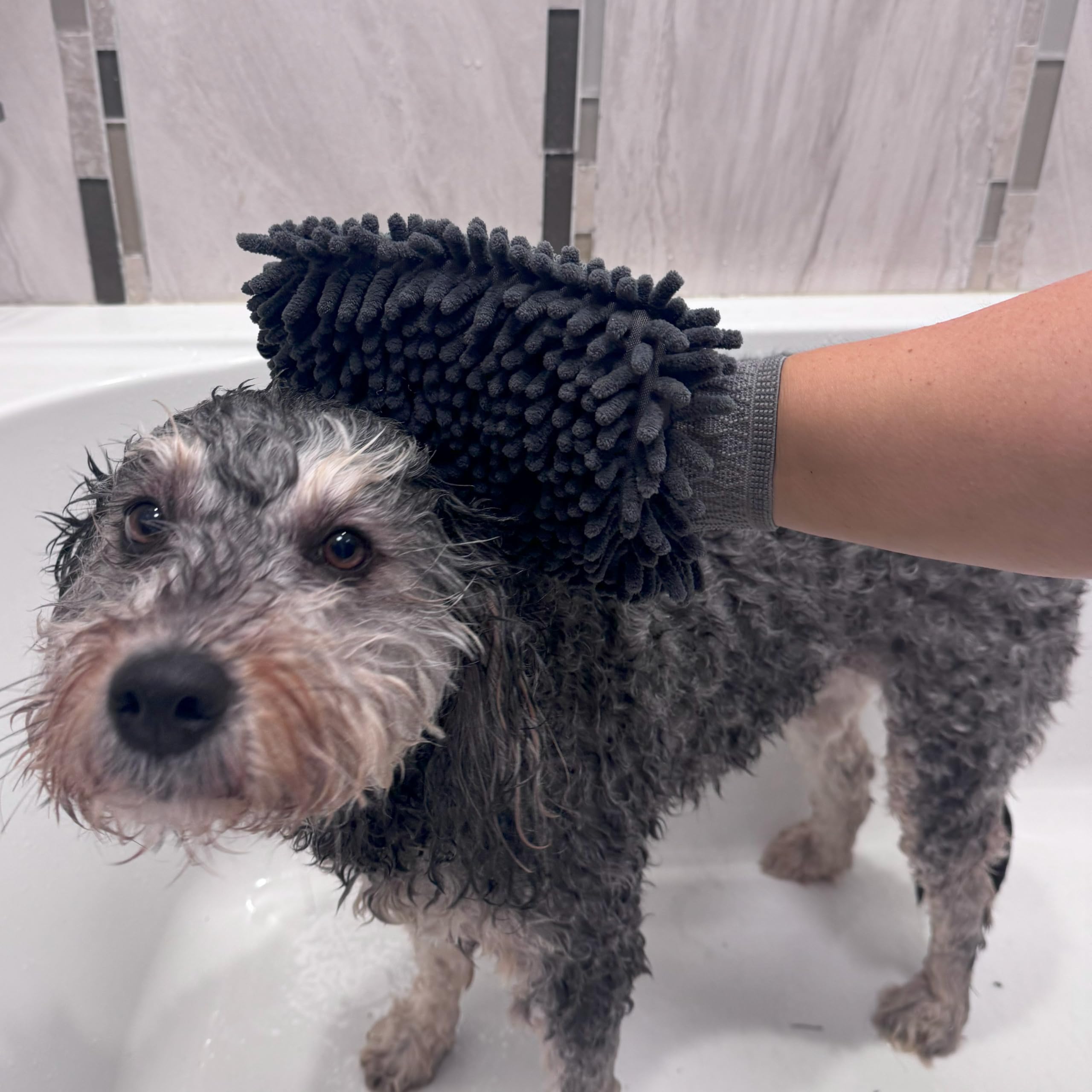 Spot Clean Paws Chenille Microfiber Dog Towel Mitt - Super Absorbent, Quick-Drying, Washable, Double-Sided Glove For Wet Paws & Body, Durable, Odor-Free, Gently Massages & Dries, 9.5In X 7In