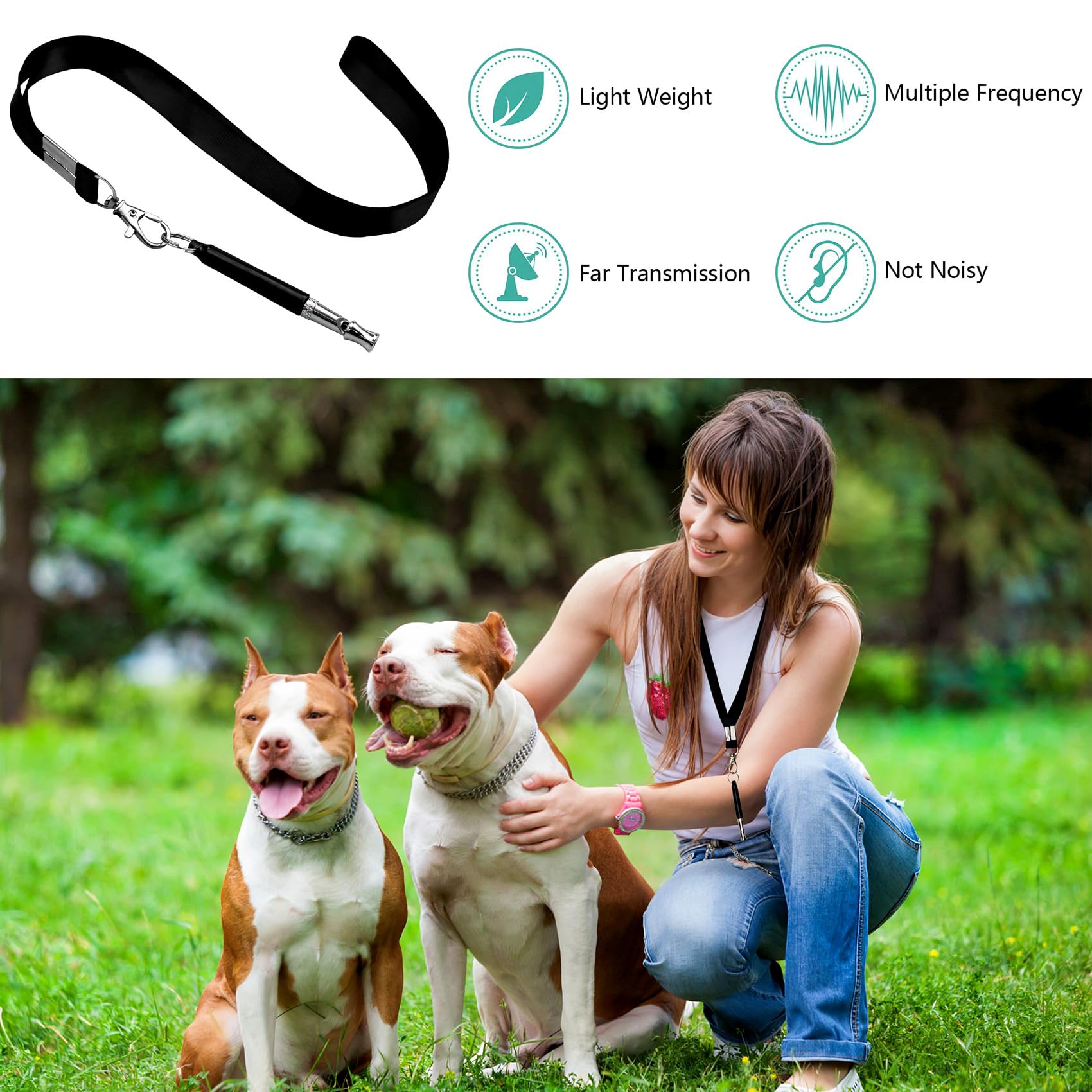 Hryyds 2 Pack Dog Whistle, Dog Whistle To Stop Barking Neighbors Dog, Adjustable Ultrasonic Silent Dog Whistle, Professional Rec