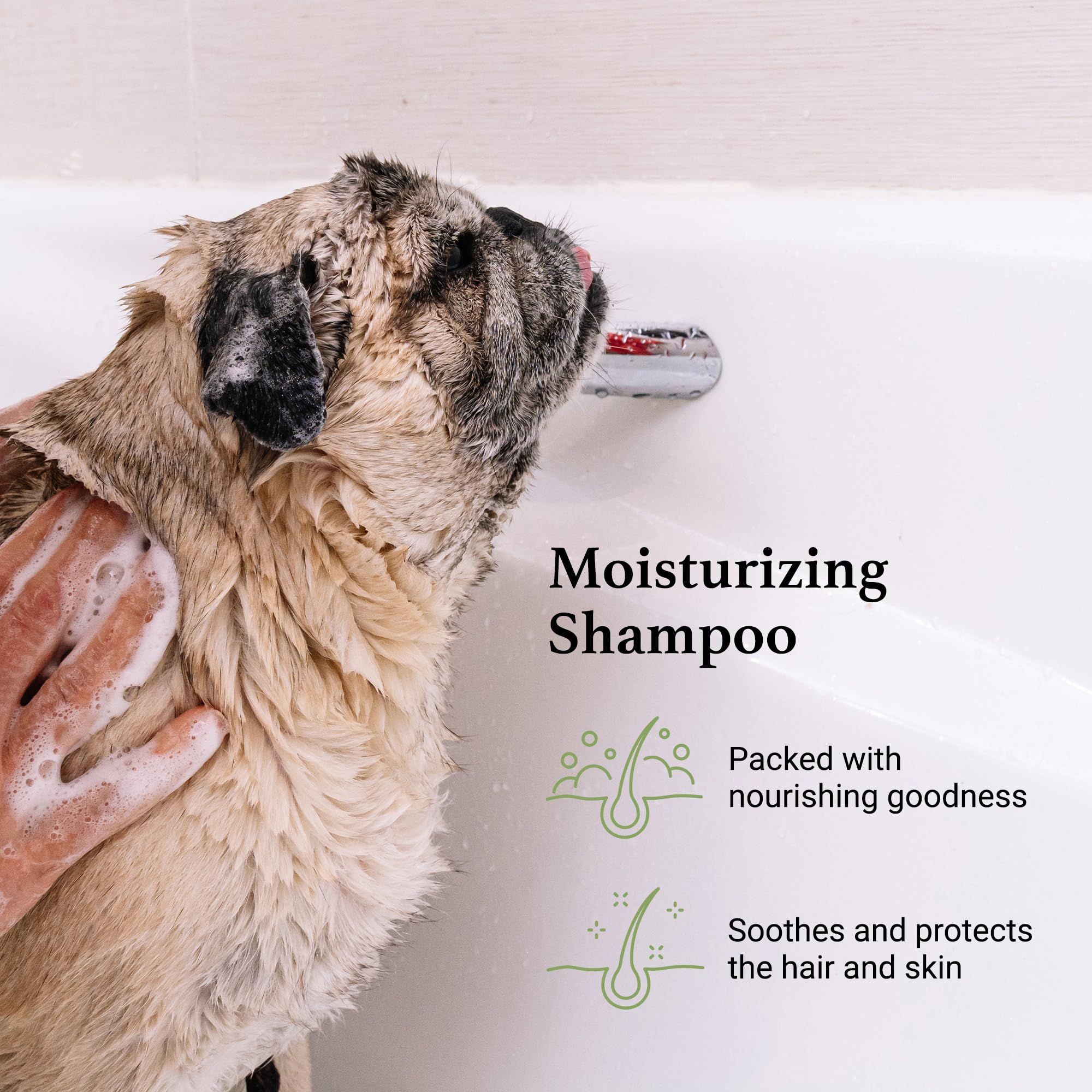 Igroom Argan+Vitamin E Dog Shampoo, Groom Like A Professional, Enhanced Cleaning Power, Reccommended Ph Balance, Made In Usa, 16