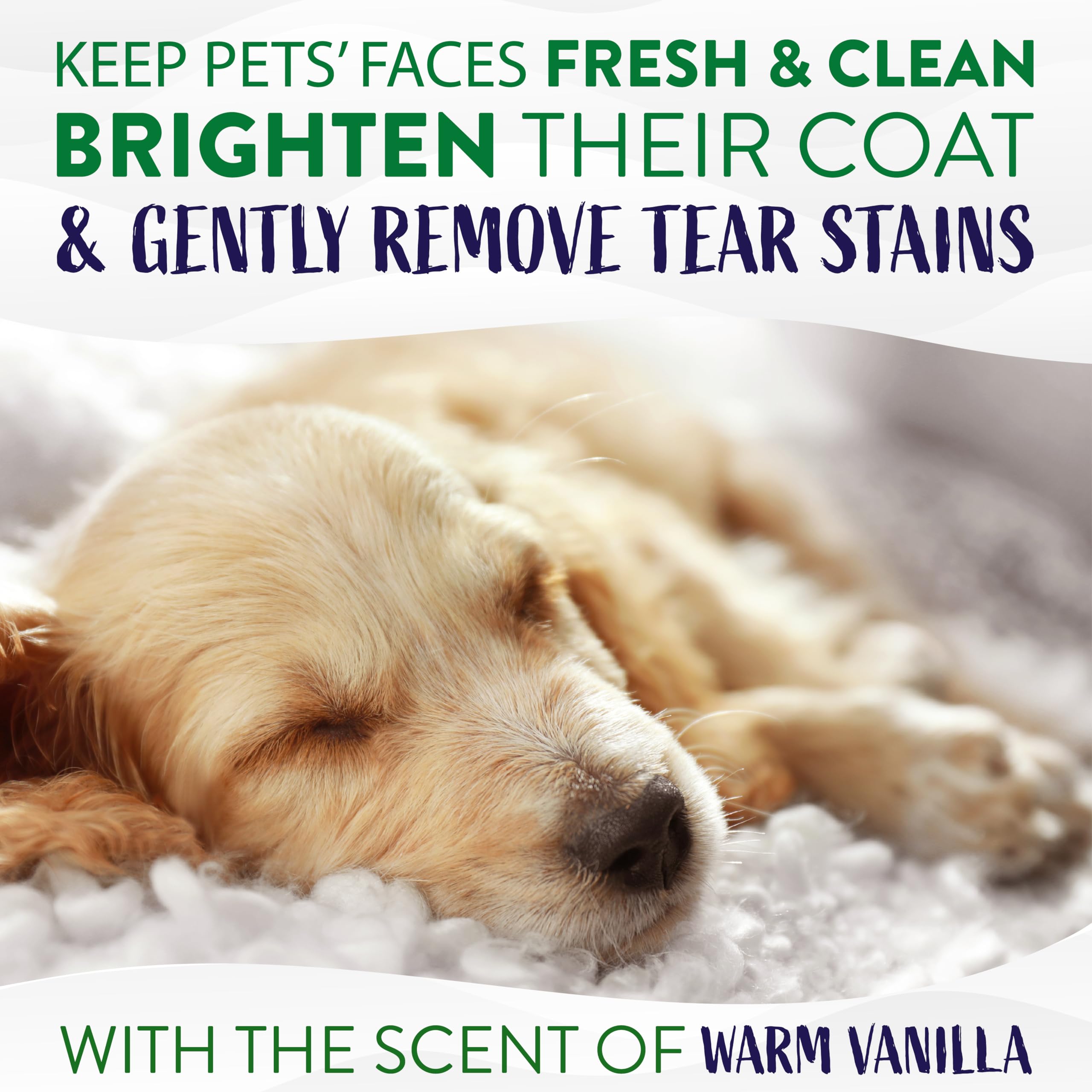 TropiClean Warm Vanilla Tear Stain Remover for Dogs | Tearless Blueberry Facial for Dogs | Ideal for White Dogs & All Other Coat