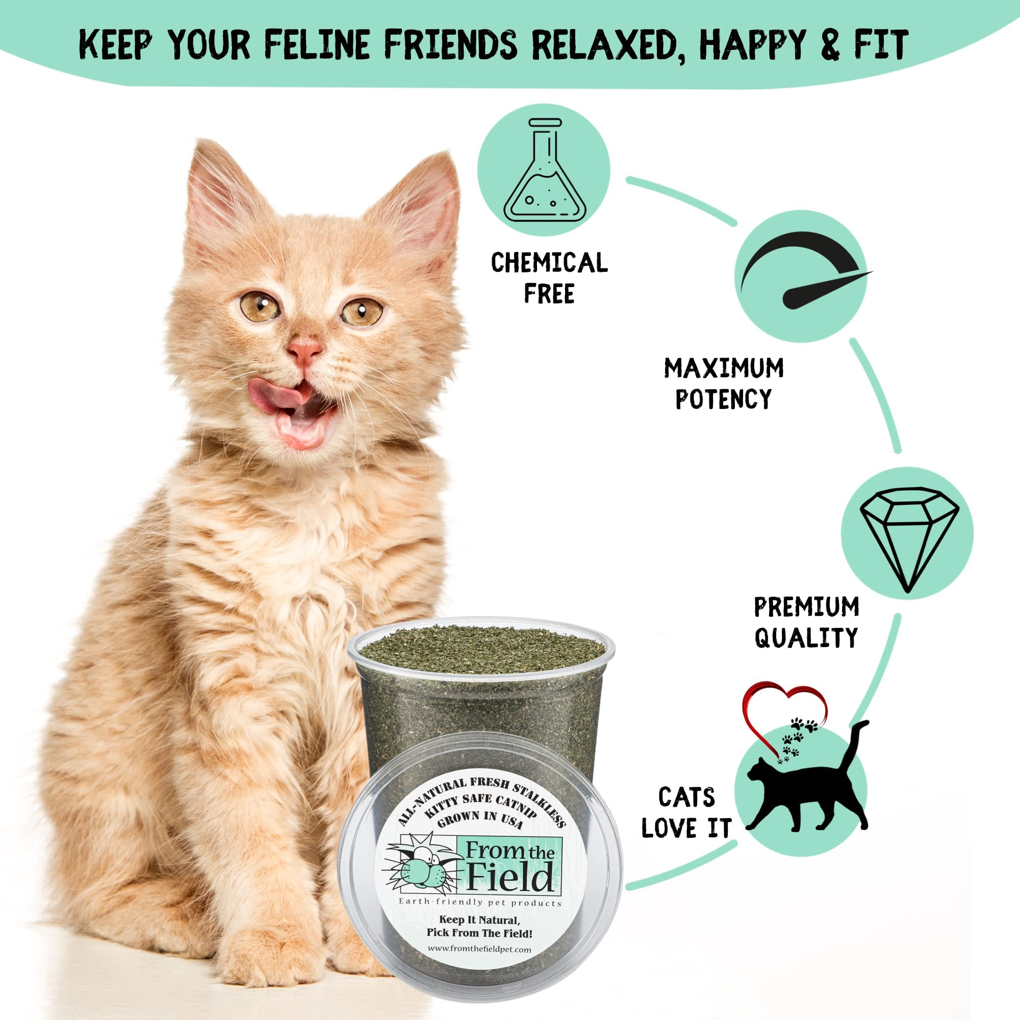 From The Field | Fine Ground Stalkless Catnip | Premium Usa-Grown Catnip For Toys & Playtime | Fresh, Potent, Non-Toxic, Eco-Friendly | Safe For Kittens & Cats | Resealable 6 Oz Tub