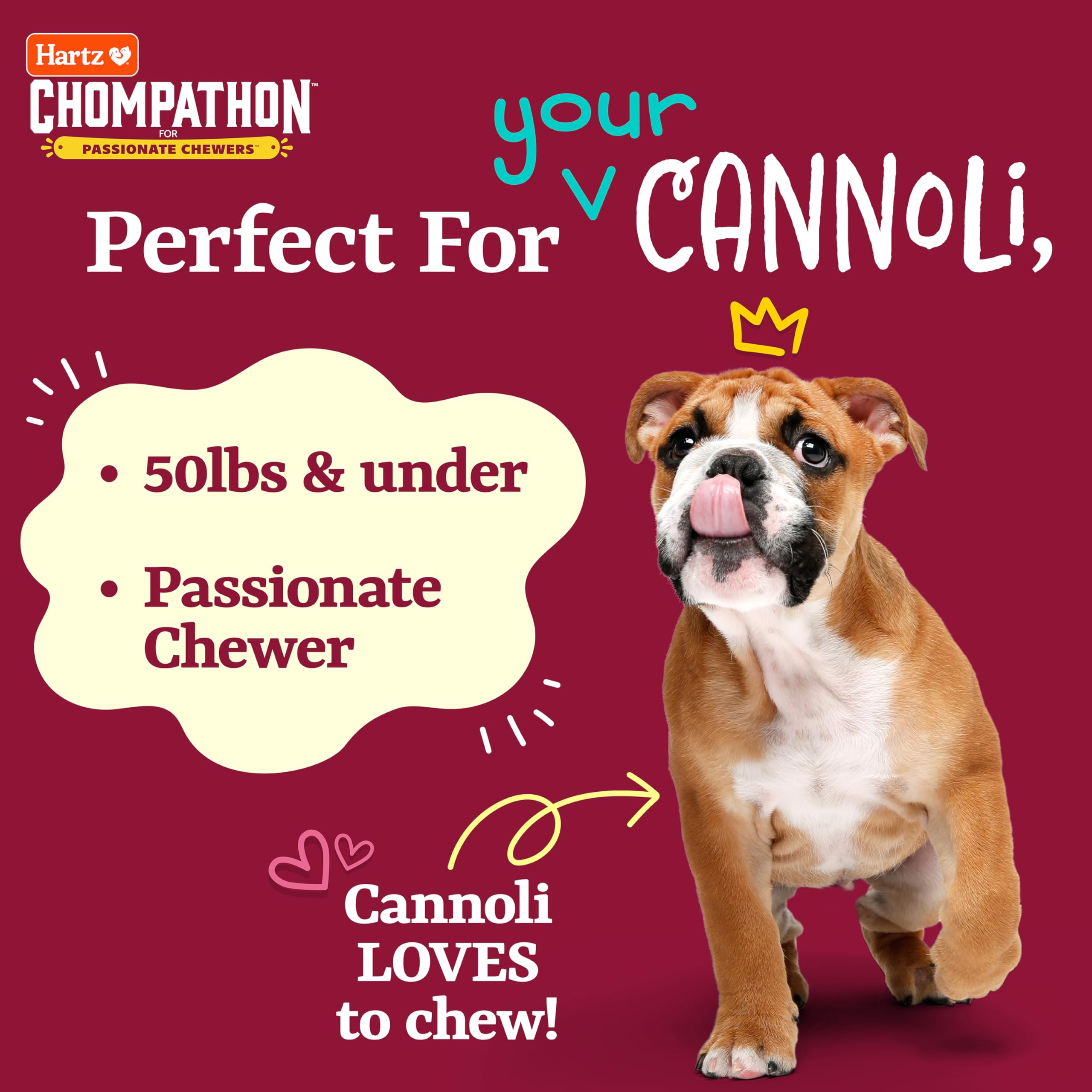 Hartz Chompathon Diamondbite Bone Dog Chew Toy for Aggressive Chewers, Double Layered Flavored with Chicken & Peanut Butter