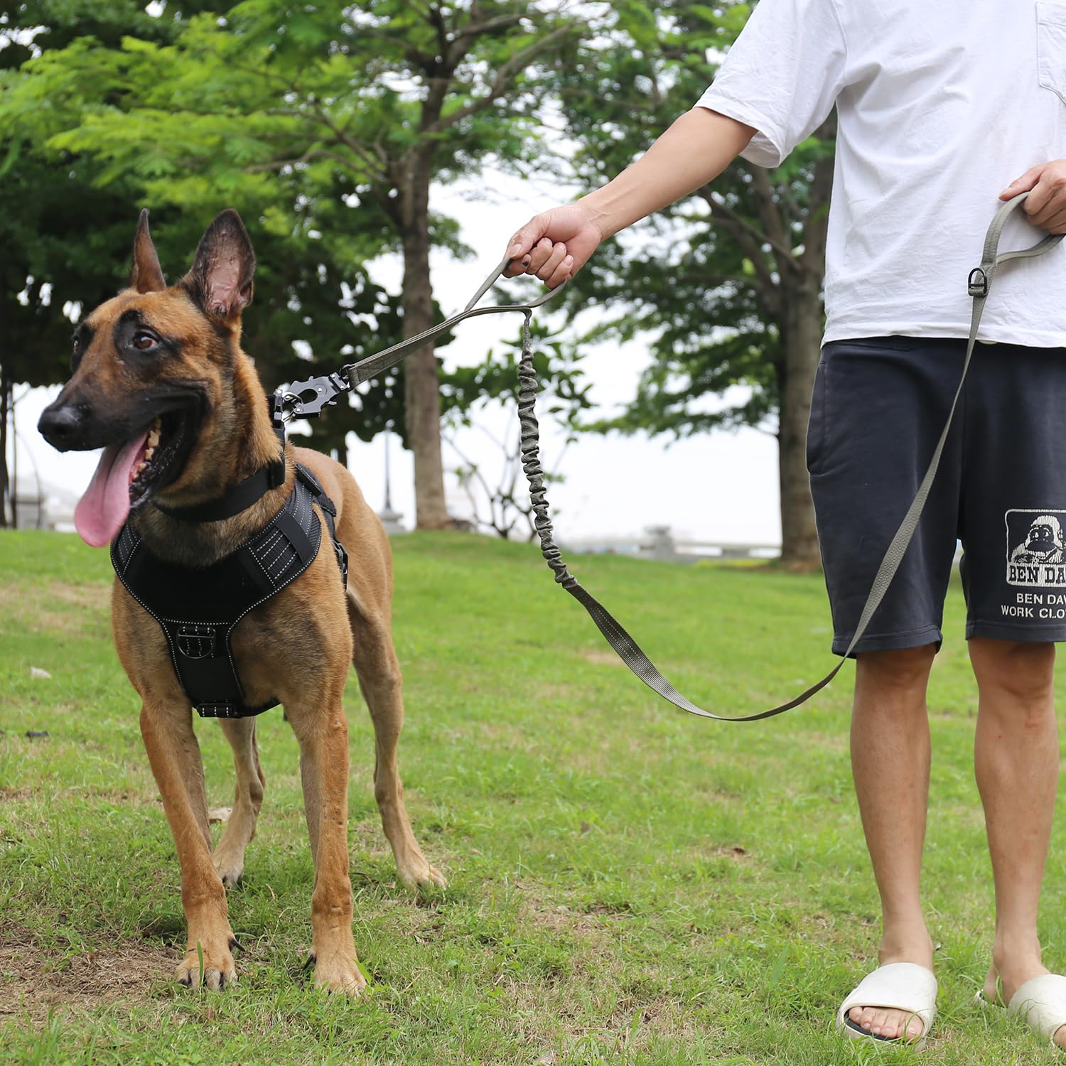 Icefang Tactical Dog Leash,K9 Training Walking Bungee Lead With 2 Control Handle,Heavy Duty Quick Release Metal Clasp,For Medium