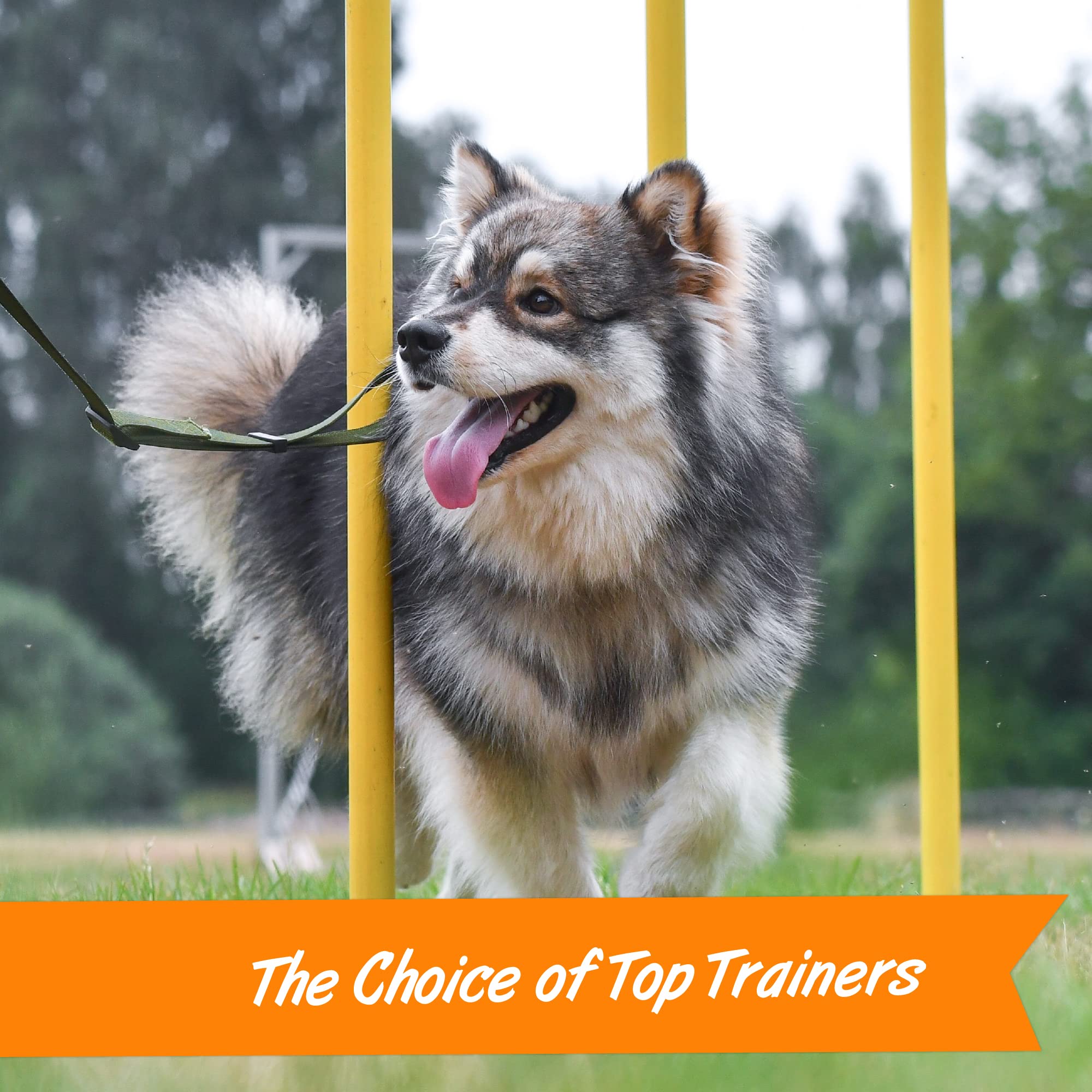 Pet Botanics 10 oz. Pouch Training Rewards Mini Soft & Chewy, Bacon Flavor, with 500 Treats Per Bag, The Choice of Top Trainers