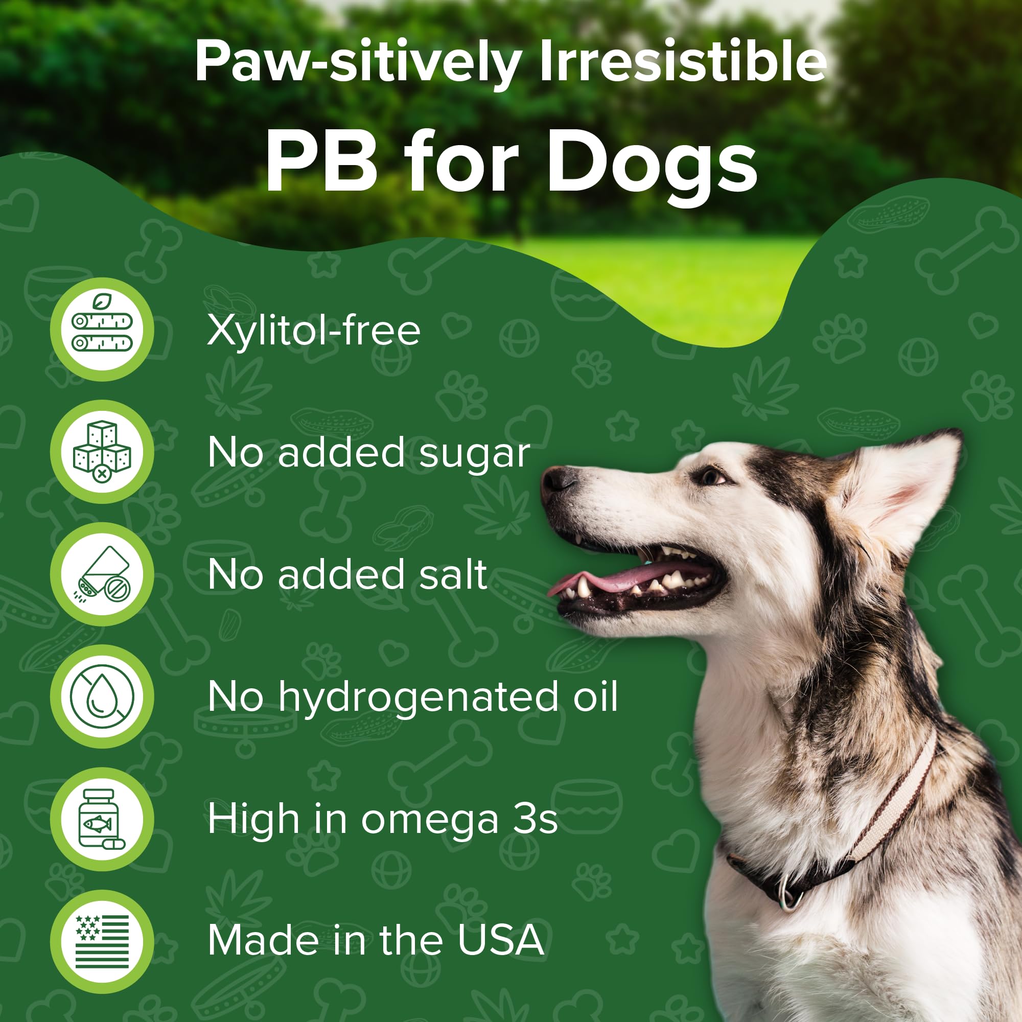Green Coast Pet Natural Peanut Butter for Dogs Safe - 100% Healthy Dog Treats - No Sugar, Xylitol Free, Digestive Support - Pupp