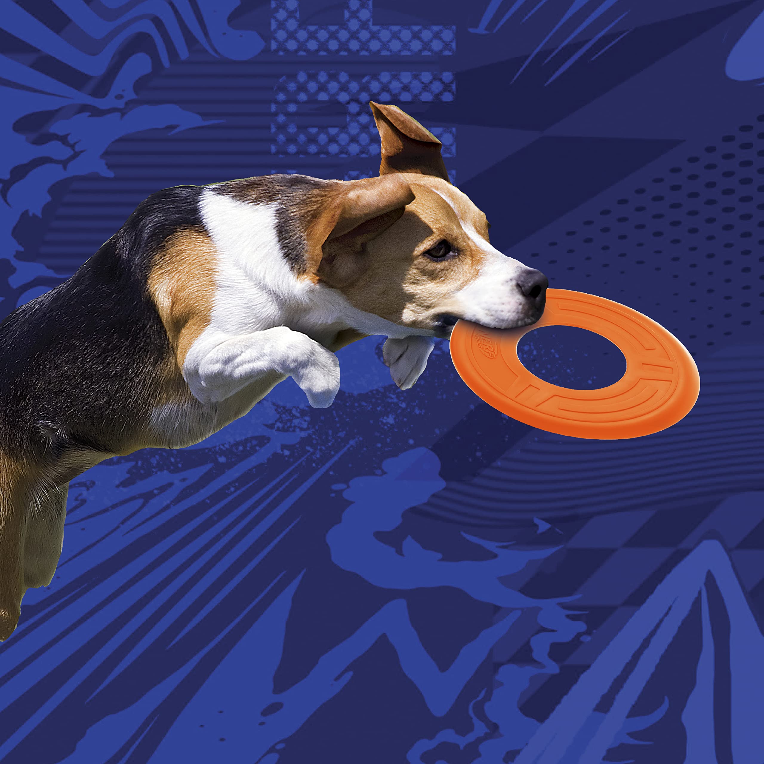 Nerf Dog 10in Atomic Flyer - Orange, One-Size-for-Most - Durable Dog Toy for Fetch and Play