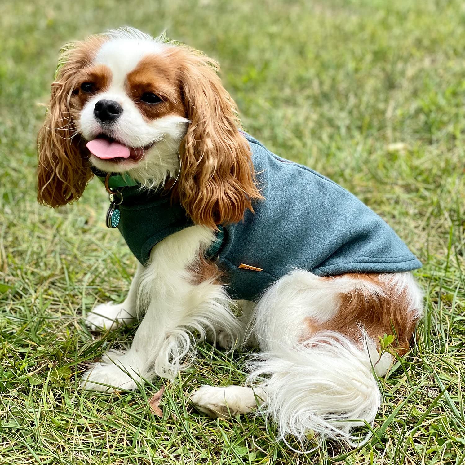 Gooby Zip Up Microfiber Fleece Dog Sweater - Turquoise, Large - Warm Double Layered Microfiber Fleece Step-In Dog Jacket Without Ring Leash - Winter Dog Sweaters For Small Dogs And Medium Dogs