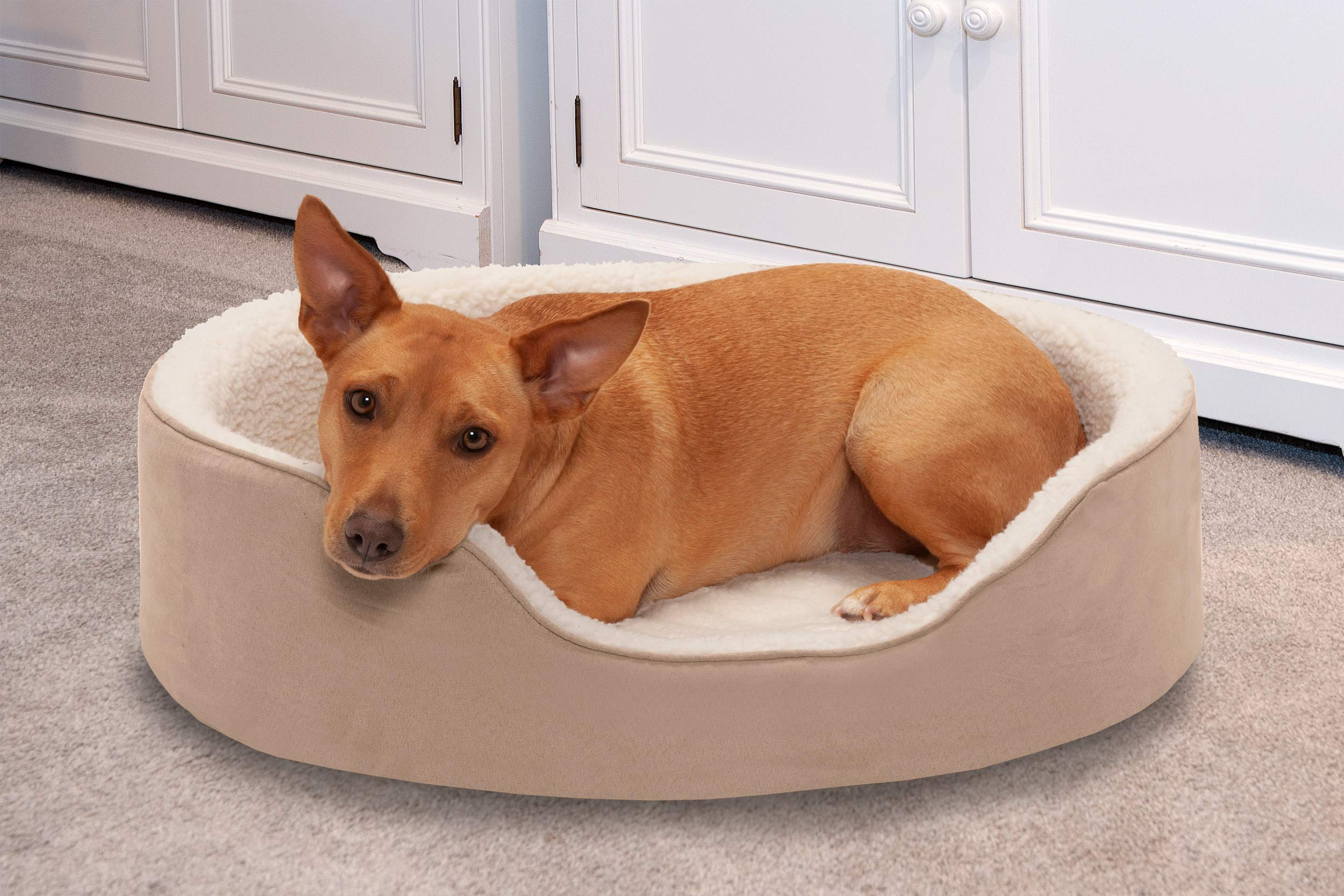 Furhaven Orthopedic Dog Bed for Large/Medium Dogs w/ Removable Washable Cover, For Dogs Up to 30 lbs - Sherpa & Suede Oval Loung