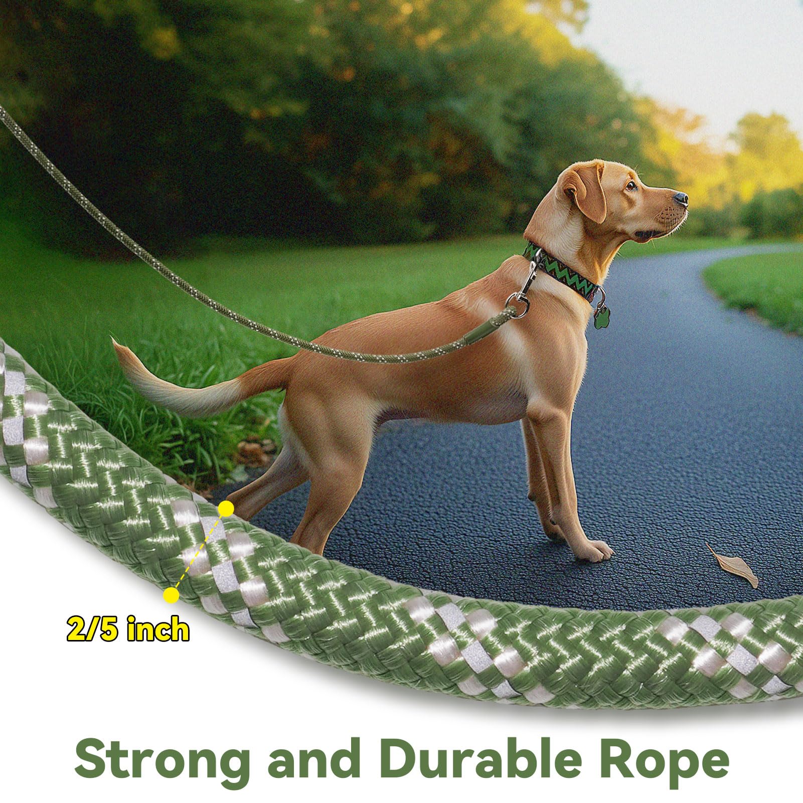 Codepets Nylon Dog Leash 6Ft 10Ft 20Ft 30Ft Diameter 2/5 Inch With Comfortable Silicone Handle Highly Reflective No Tangle For M
