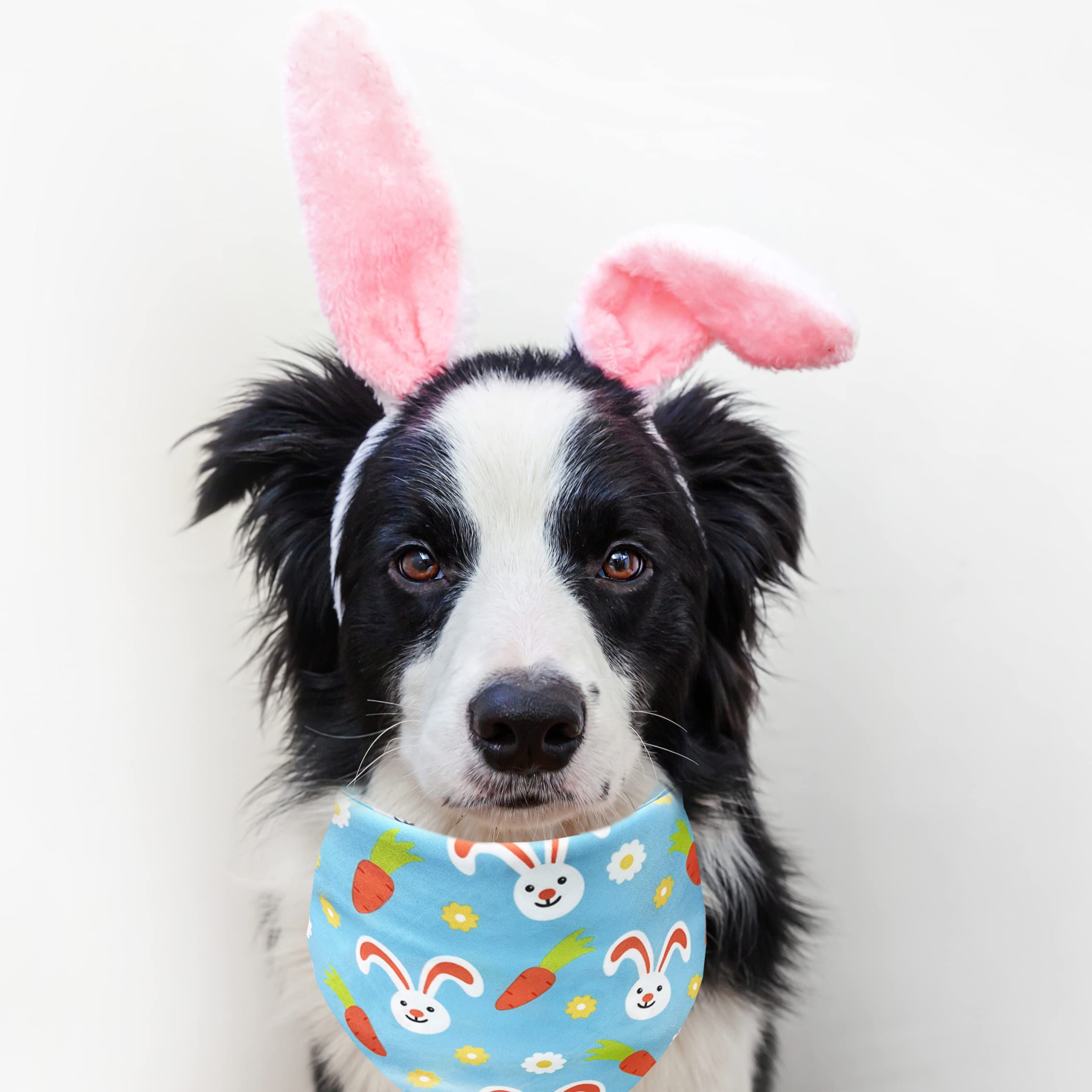 2 Pack Easter Dog Cat Bandana, Holiday Bunny And Carrot Bandana For Pets Puppies (Pattern 2, Large)
