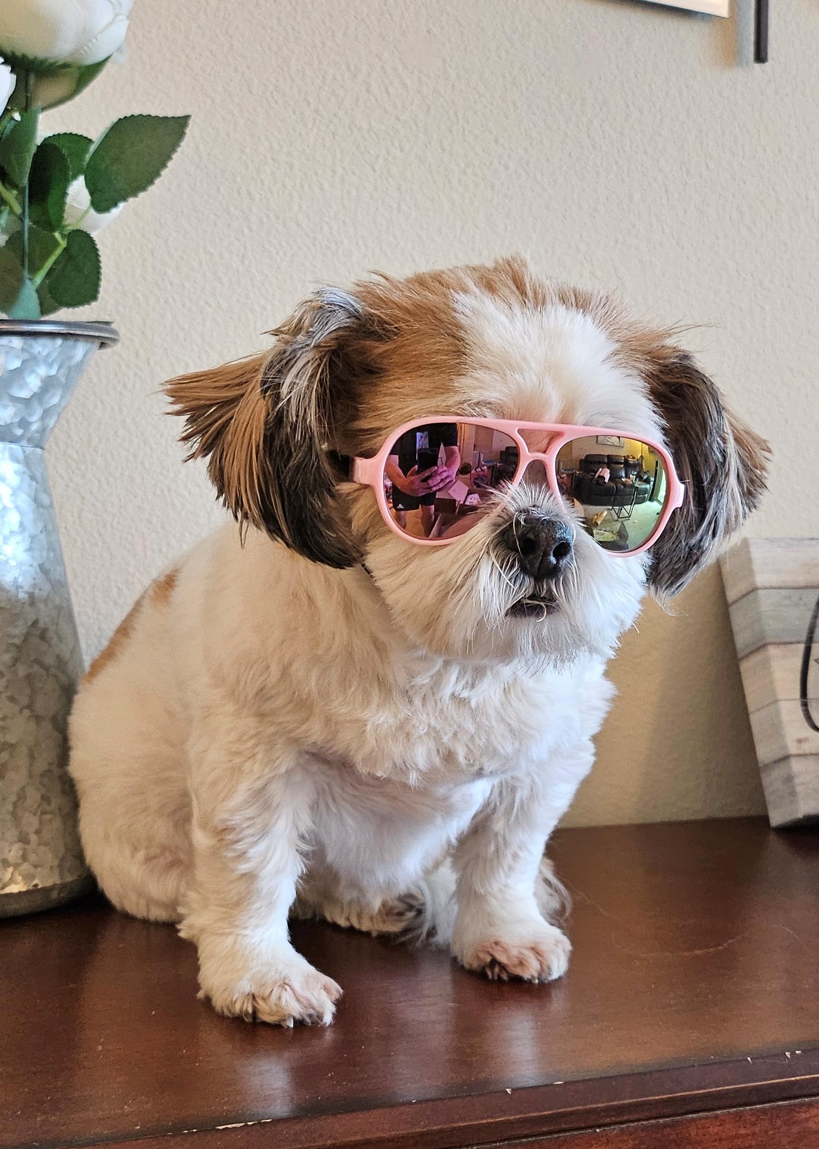 G029 Dog Cat Pet Aviator Sunglasses Glasses For Small Breeds Up To 15Lbs (Pink-Pink Mirror)