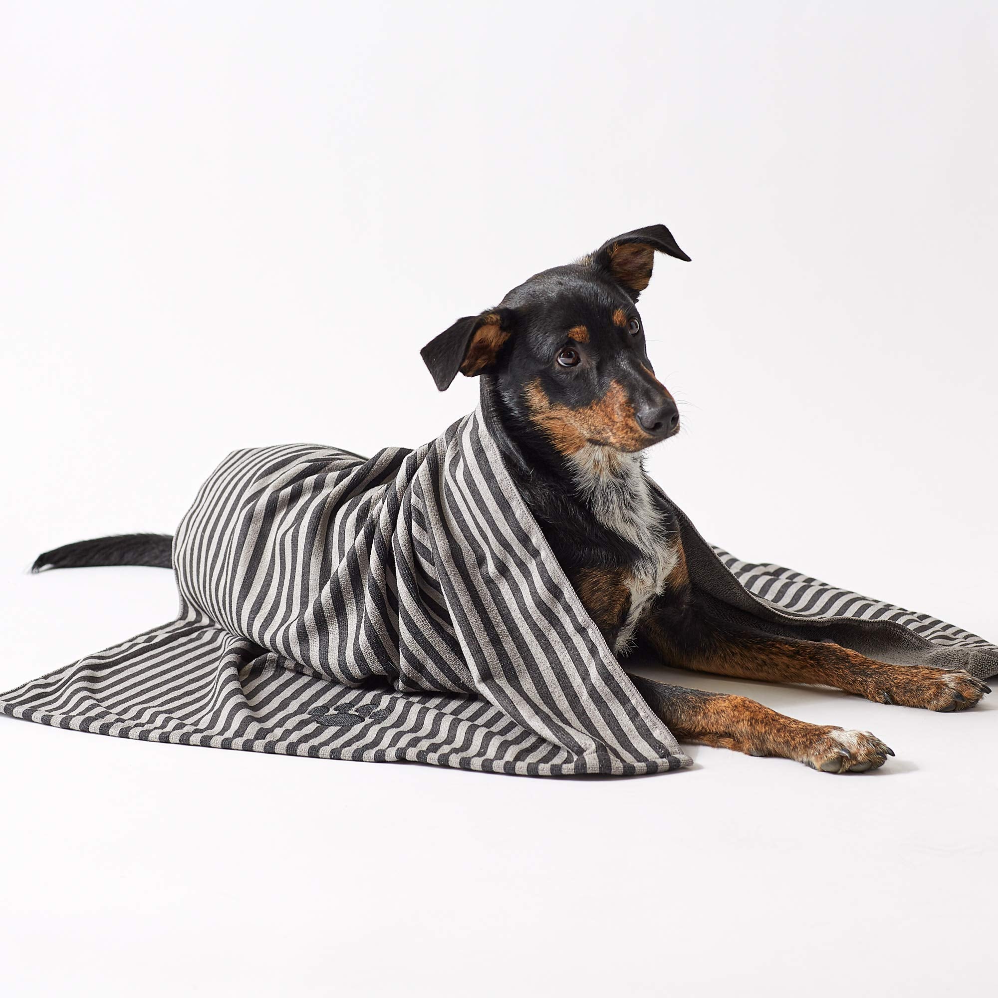 Bone Dry Pet Grooming Towel Collection Absorbent Microfiber X-Large, 41x23.5, Striped Black