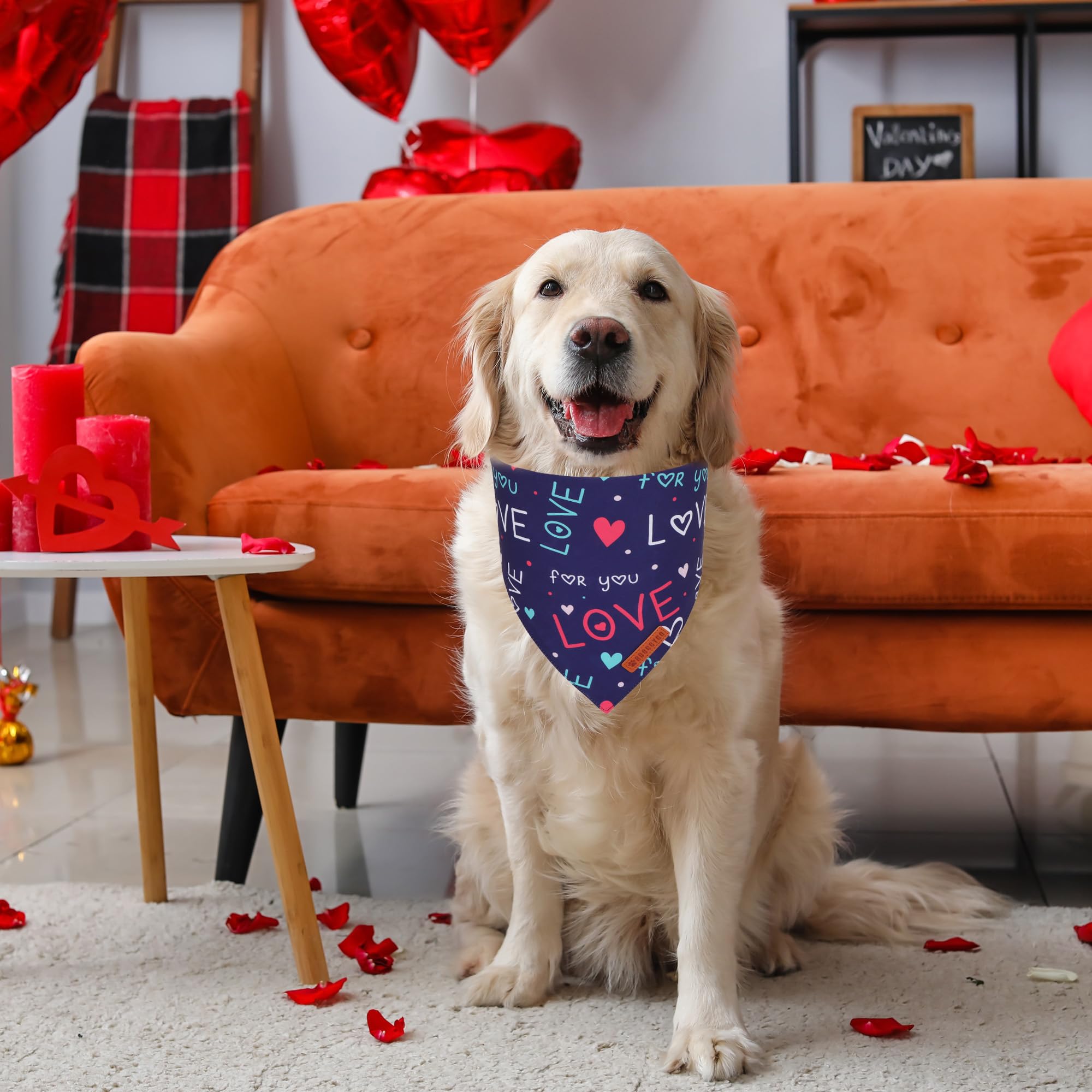 ADOGGYGO Valentine Dog Bandana, Red Blue Heart Love Pet Scarf, Adjustable Fit Pet Valentine Bandanas for Large and Extra Large D