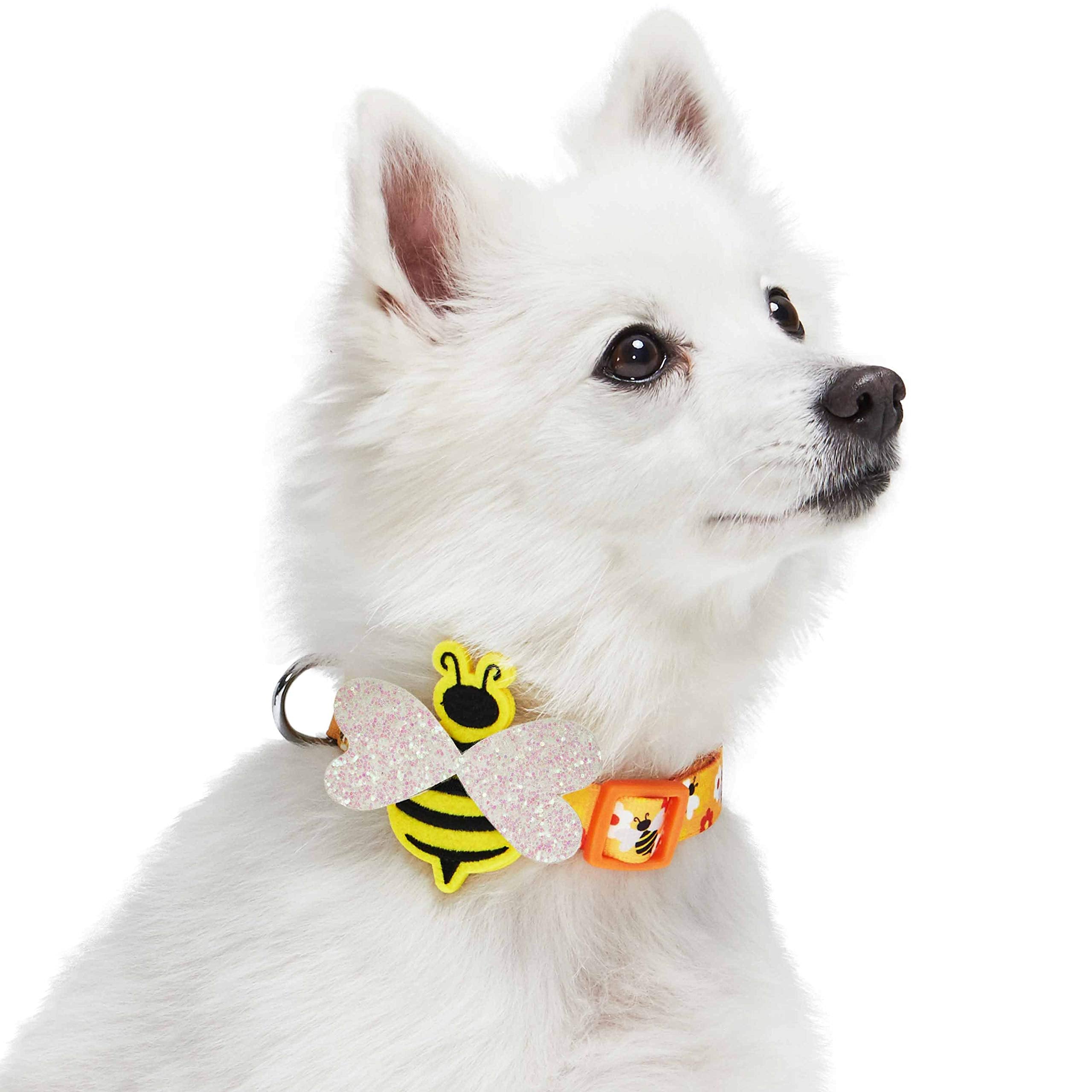 Blueberry Pet Busy Bees Adjustable Dog Collar With Detachable D  Cor, Large, Neck 18''-26''