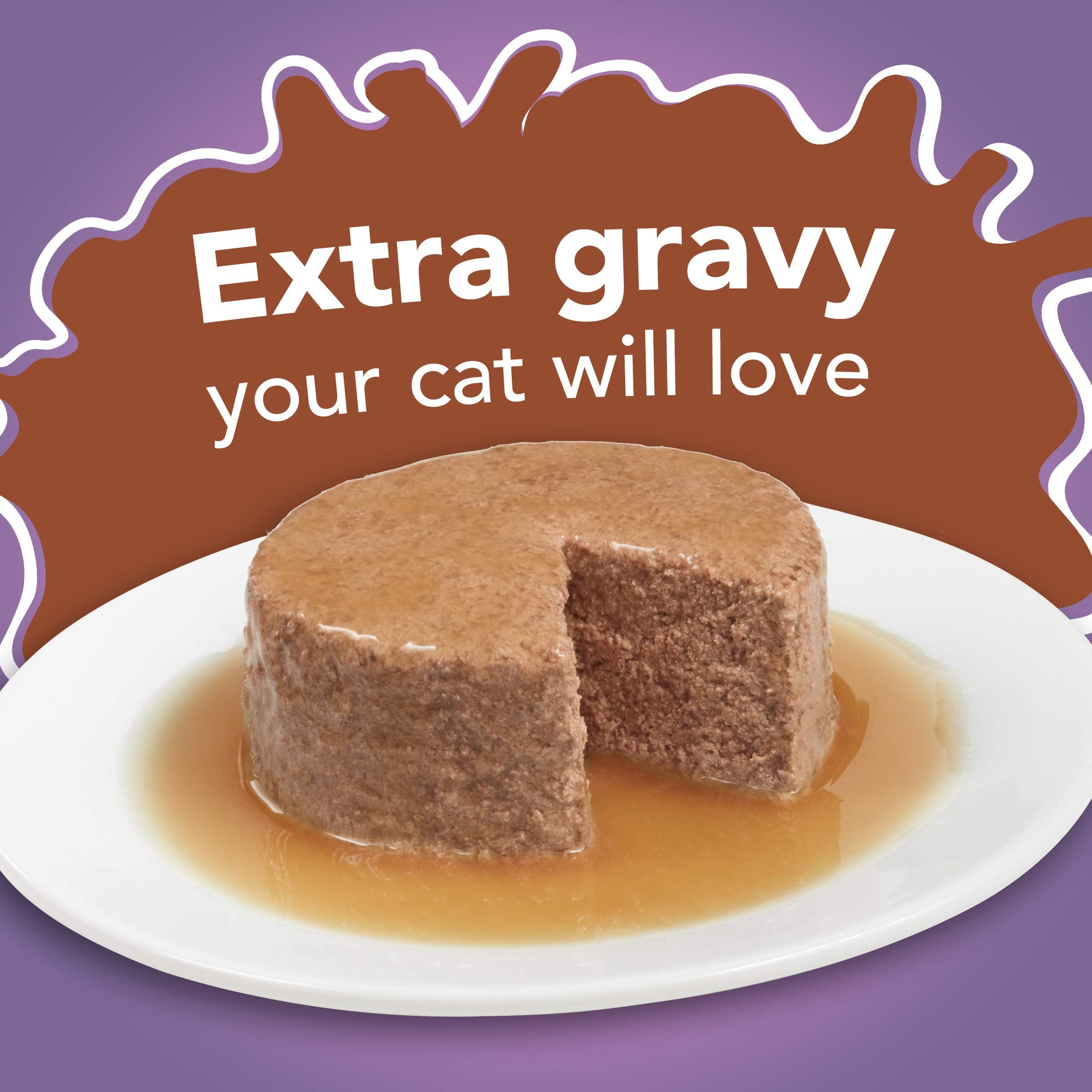 Purina Friskies Wet Cat Food Pate With Turkey in Savory Gravy - Extra Gravy (Pack of 24) 5.5 oz. Cans