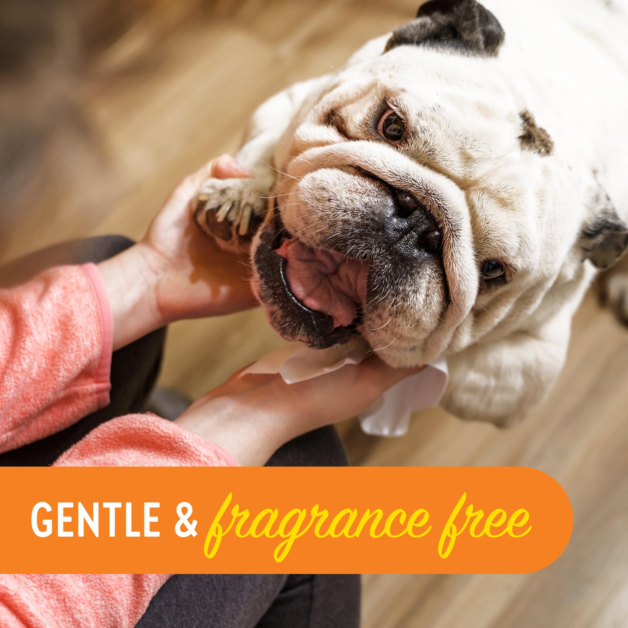 Dogtopia Cleansing Facial Wipes For Pets | Convenient Face Cleaning Wipes (60 Count) For Dogs And Cats | Hypoallergenic, Fragran