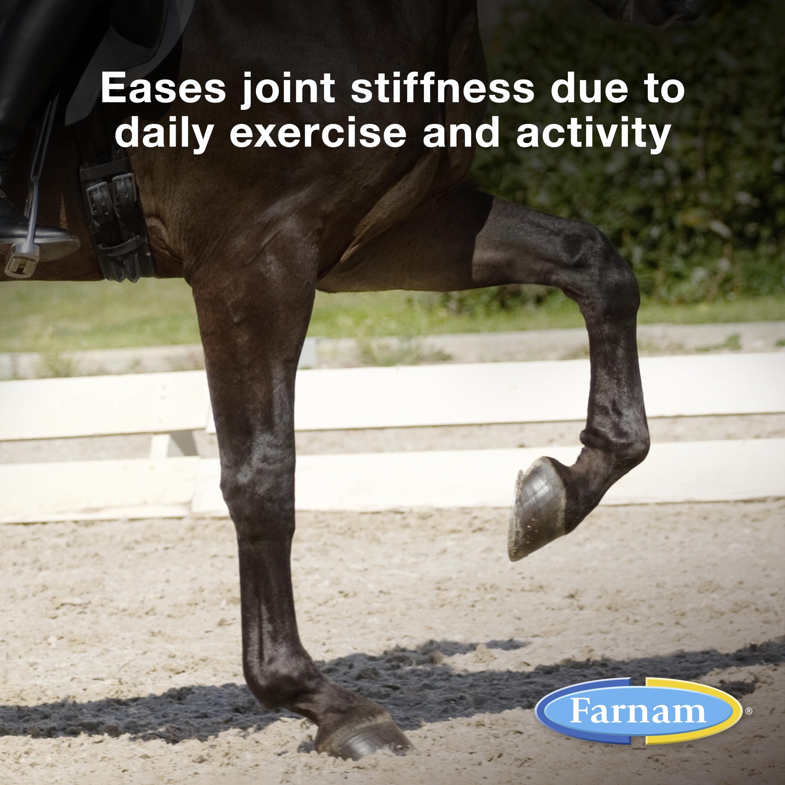Farnam Next Level Horse Joint Supplement for Horses & Dogs, Helps Maintain Connective Tissue to Ease Joint Stiffness Due to Dail
