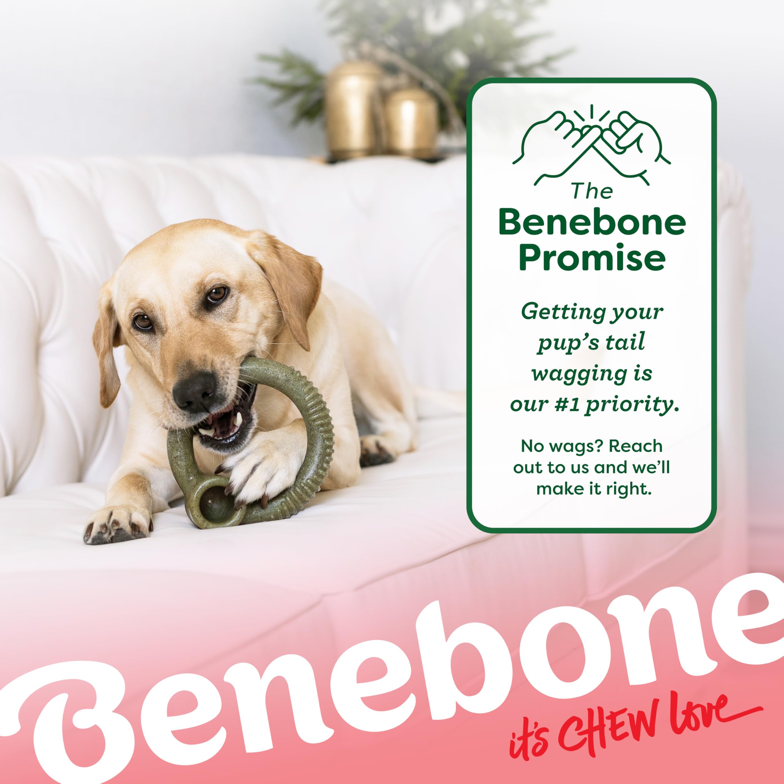Benebone Peppermint Ring - Limited Edition Holiday Flavor, Durable Chew Toy for Aggressive Chewers, Made in USA, Small