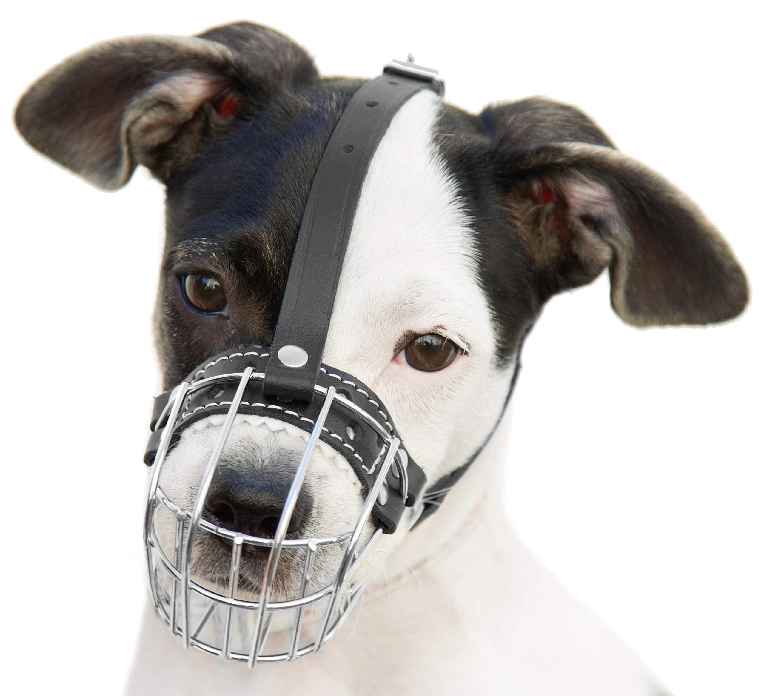 ?0.5 Dog Chrome Metal Muzzles Wire Basket Adjustable Leather Straps ?Ircumference Is 6.6-8.2 In The Length Is 1.9-2.3 In