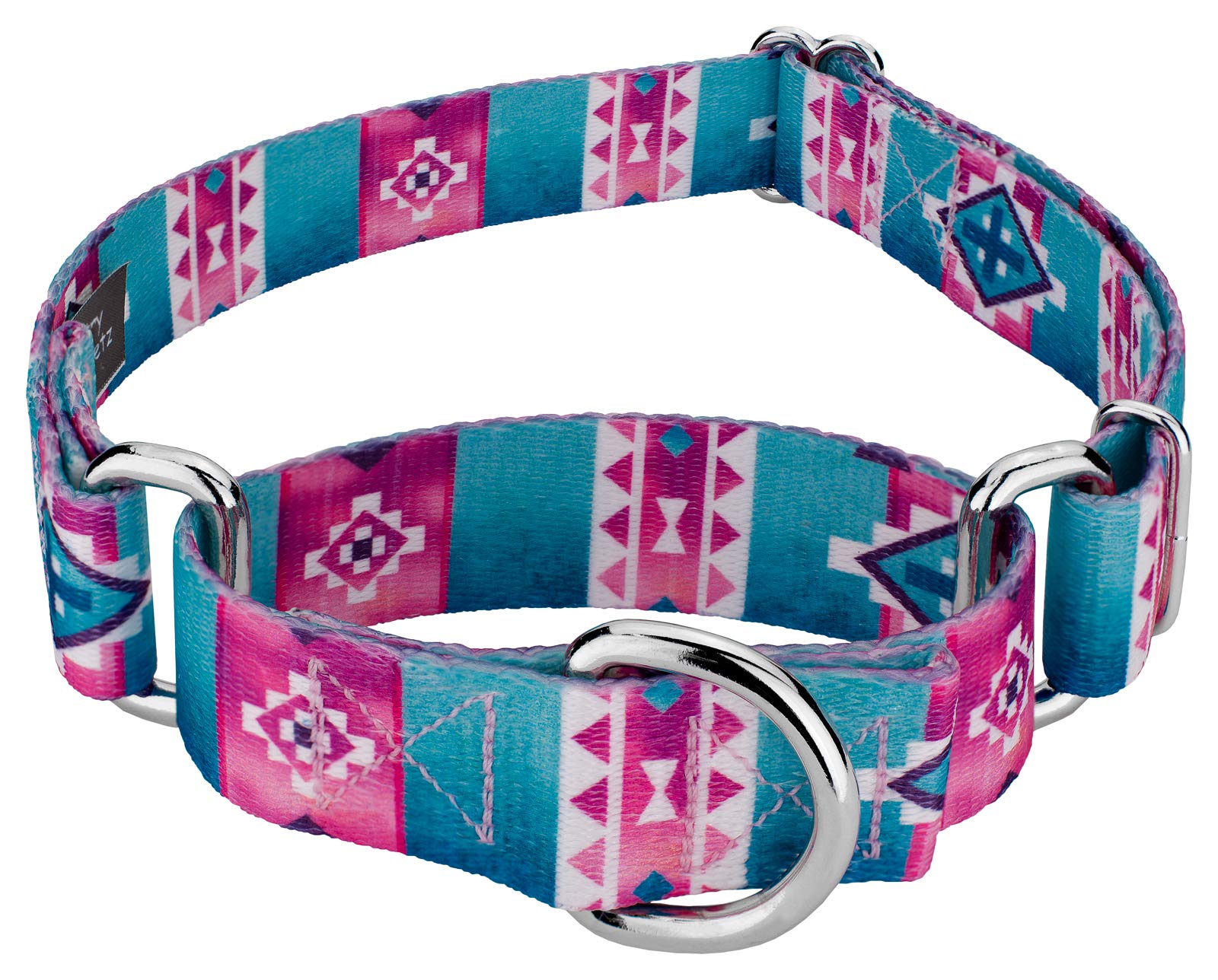 Country Brook Petz - Albuquerque Martingale Dog Collar - Country And Western Collection Featuring Rustic Designs (5/8 Inch, Smal