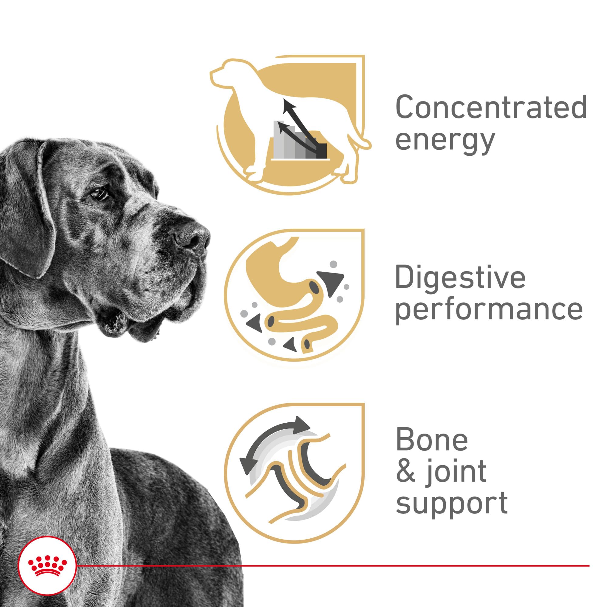Royal Canin Breed Health Nutrition Great Dane Adult Dry Dog Food, 30 lb Bag