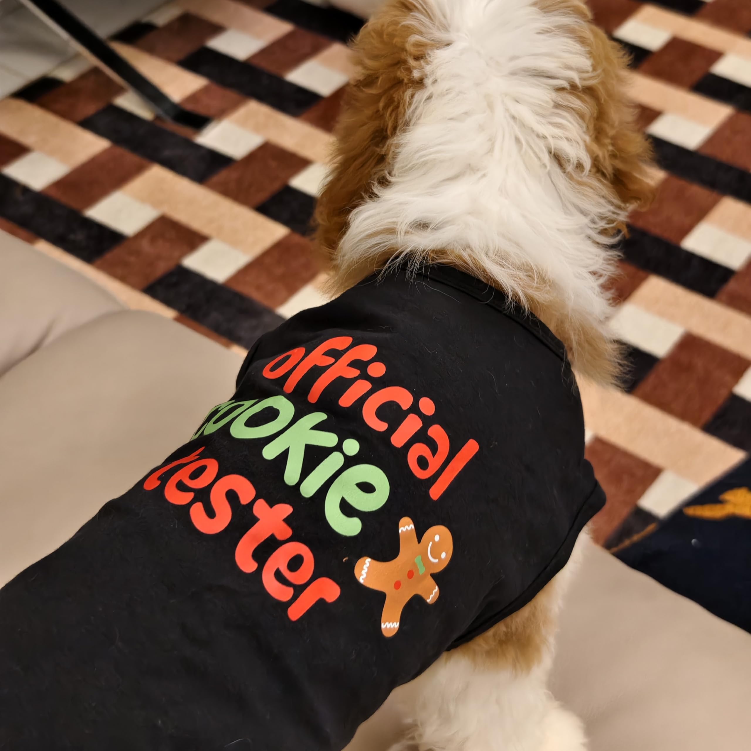 Fitwarm Official Cookie Tester Funny Dog Shirt, Christmas Dog Clothes For Small Dogs Boy Girl, Holiday Doggy Tshirt, Pet Outfit,