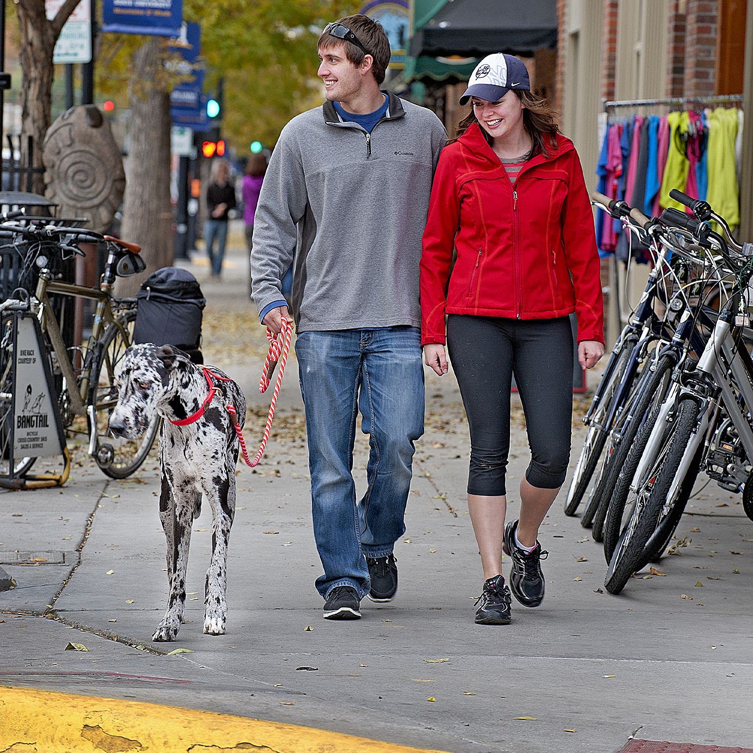 Mendota Pet Snap Leash - Made In The Usa - Starbright, 1/2 In X 6 Ft