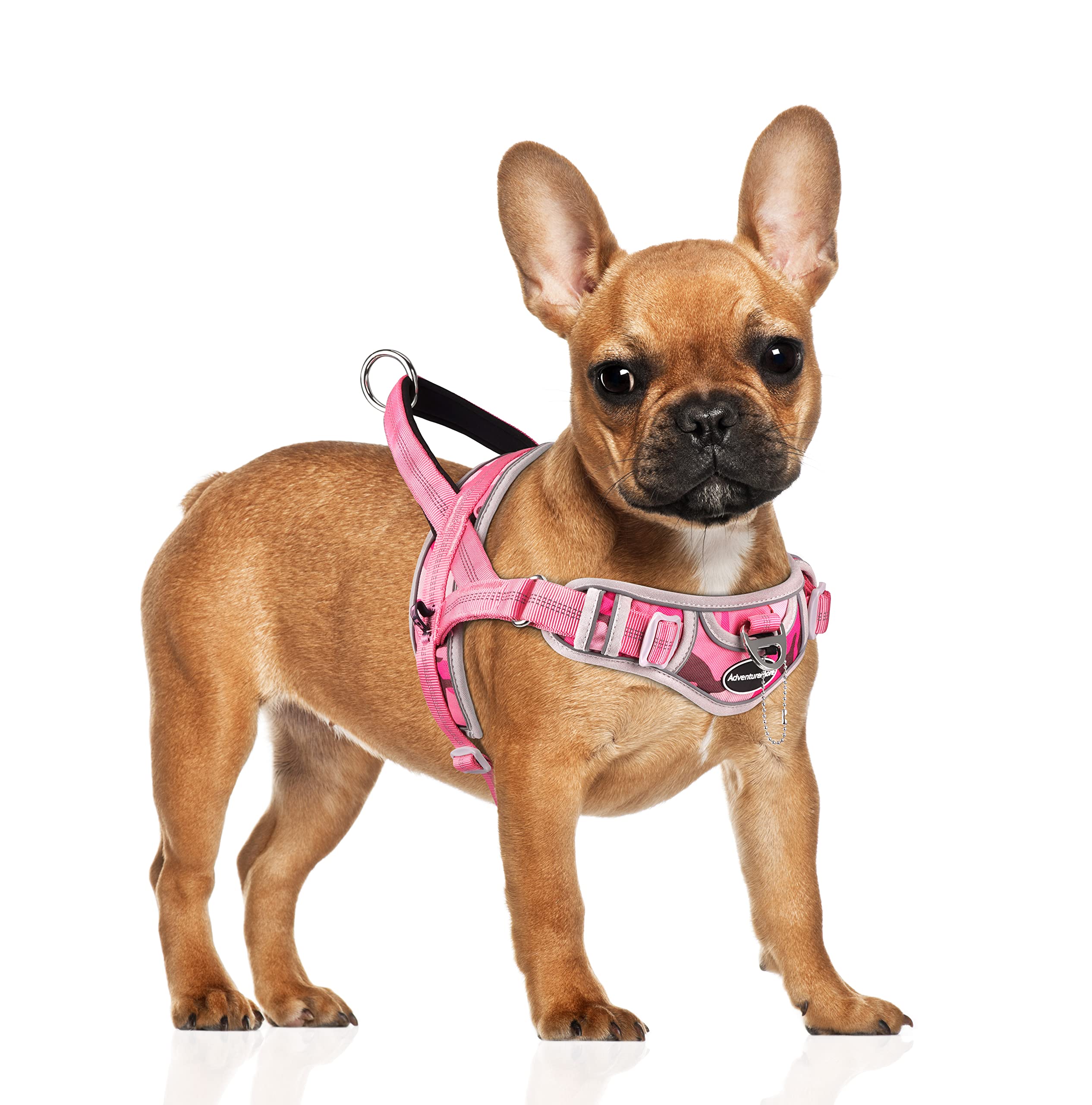 ADVENTUREMORE Dog Harness for Small Dogs No Pull, Dog Halter Harness Adjustable Reflective Dog Vest Escape Proof Dog Harness wit