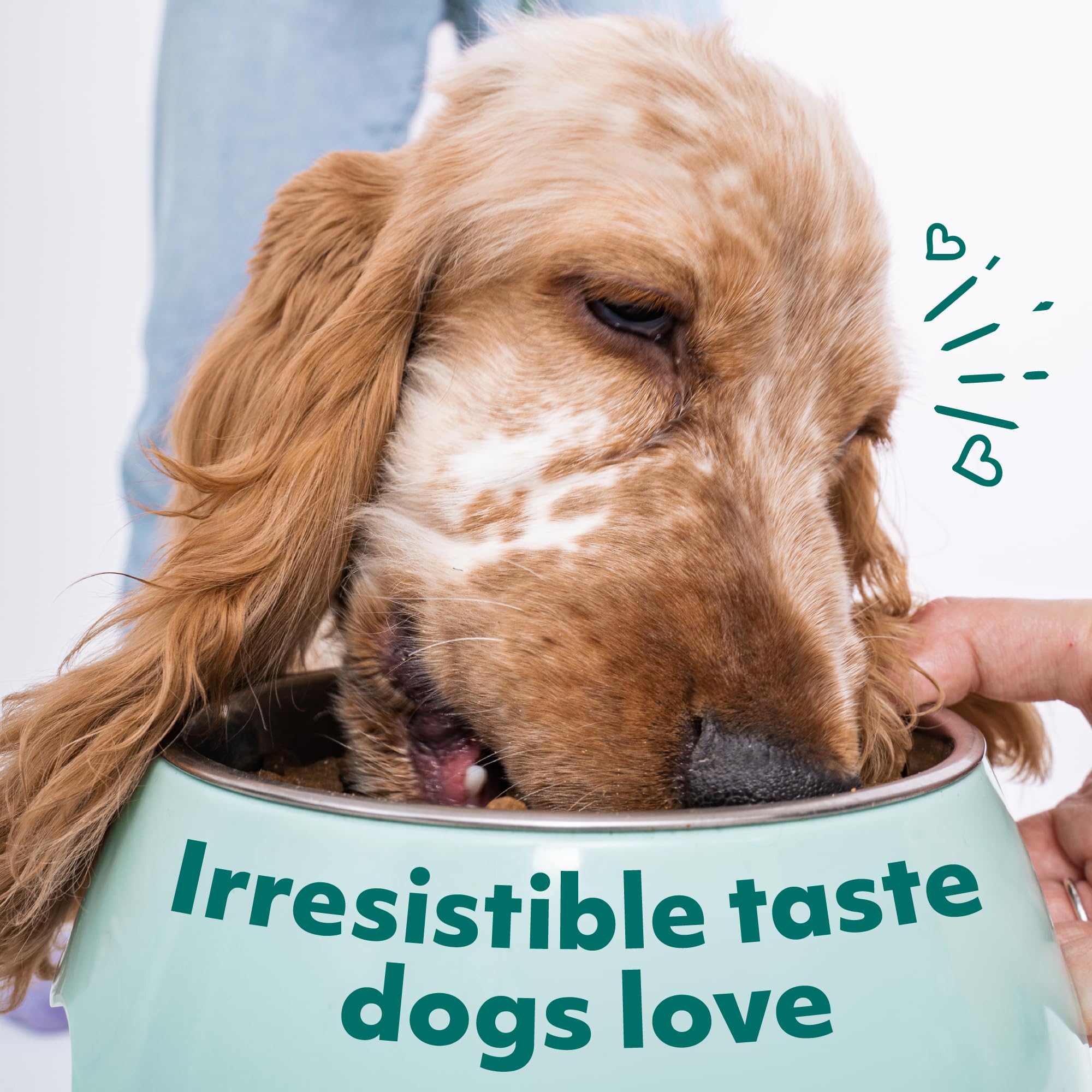Optimeal Toy Breed Dry Dog Food - Grain Free Small Kibble for Small Dogs, High Protein, Natural Ingredients, Skin & Digestive Su