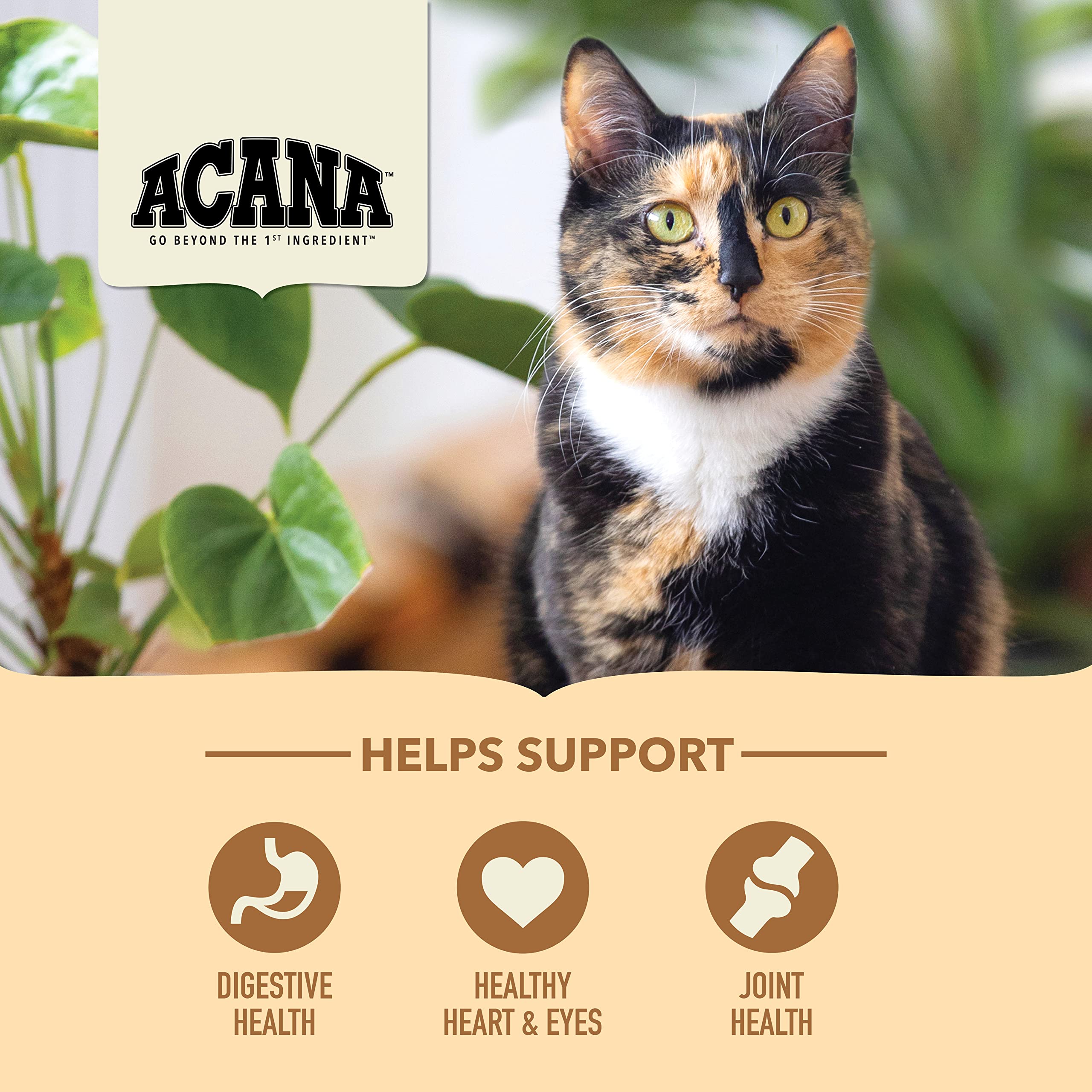 ACANA Dry Cat Food for Seniors Senior Entr  e Chicken Turkey and Duck 4lb Bag