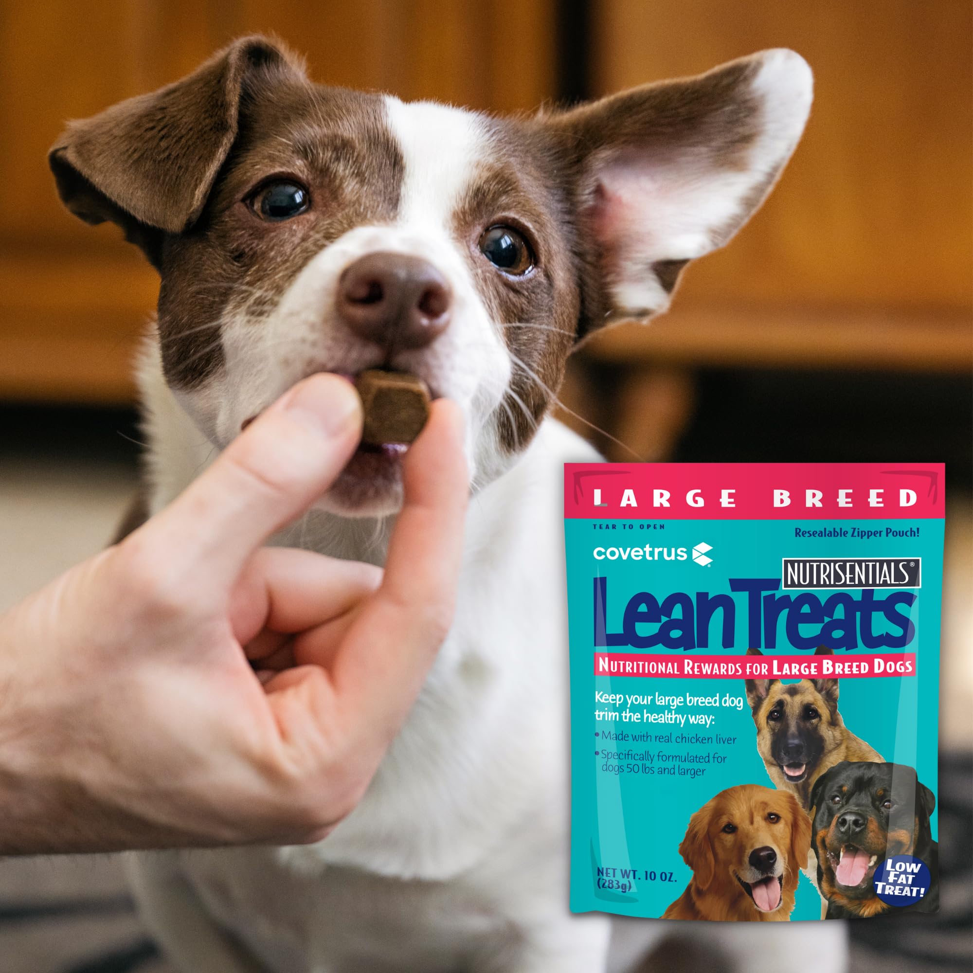 Covetrus Nutrisential Lean Treats for Large Dogs - Soft Dog Treats for Large Dogs - Nutritional Low Fat Bite Size K9 Treats - Ch