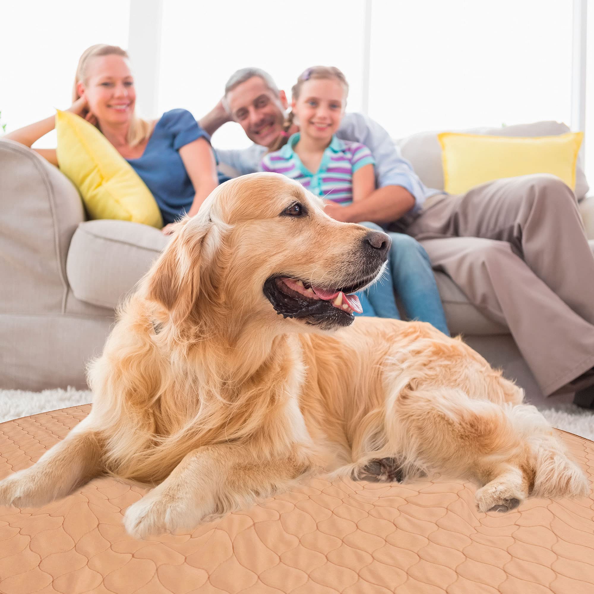 Ezwhelp Washable Whelping Dog Pee Pads - Waterproof And Reusable Potty Training Floor Pads - Absorbent Dog Training Bed - Puppy Training Pads Supplies, Absorbent Pet Pen Floor Pad Puppies, 36-In