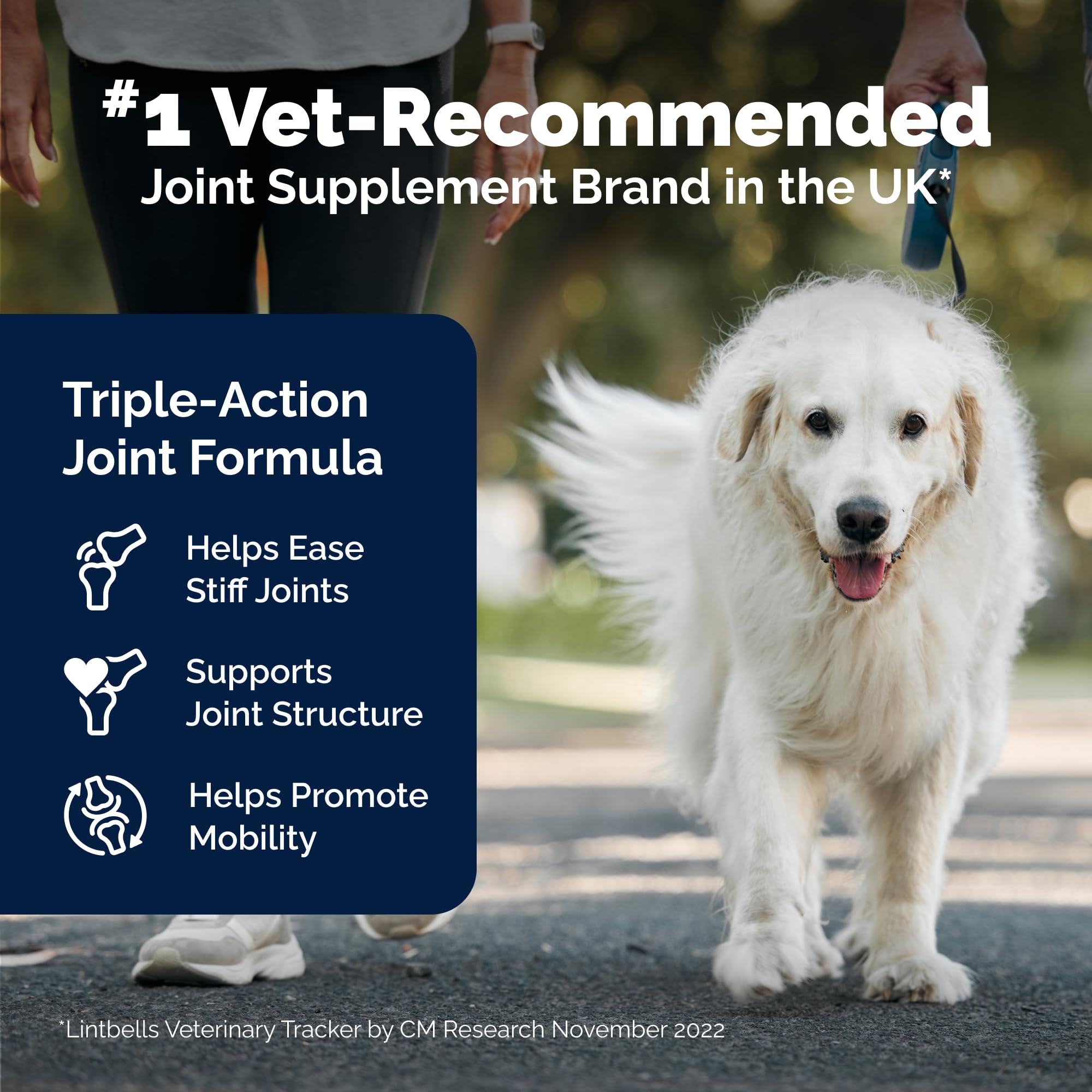 YuMOVE Hip & Joint Supplement for Dogs with Glucosamine, Chondroitin, Omega 3, Hyaluronic Acid, Green Lipped Mussel, & Fish Oil