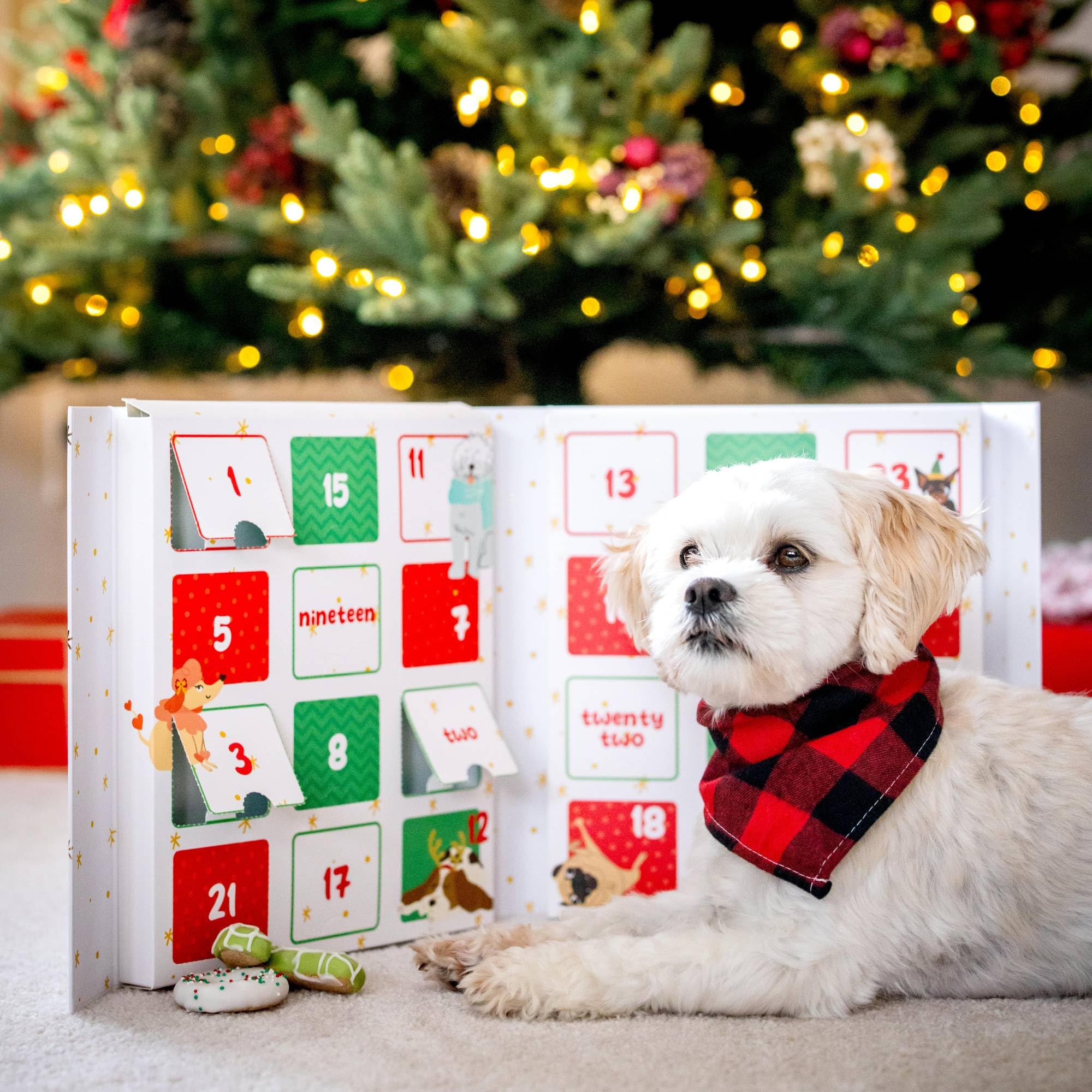 WÜFERS Singing Advent Calendar Dog Cookie Box | Handmade Treats with Natural Ingredients | 1 Count