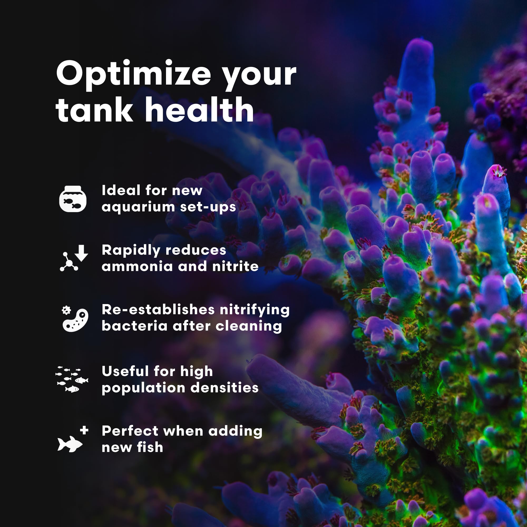 Brightwell Aquatics MicroBacter Start XLM - Concentrated Freshwater Nitrifying Bacteria - Quick Start Fish Tank Starter, Lift Mi