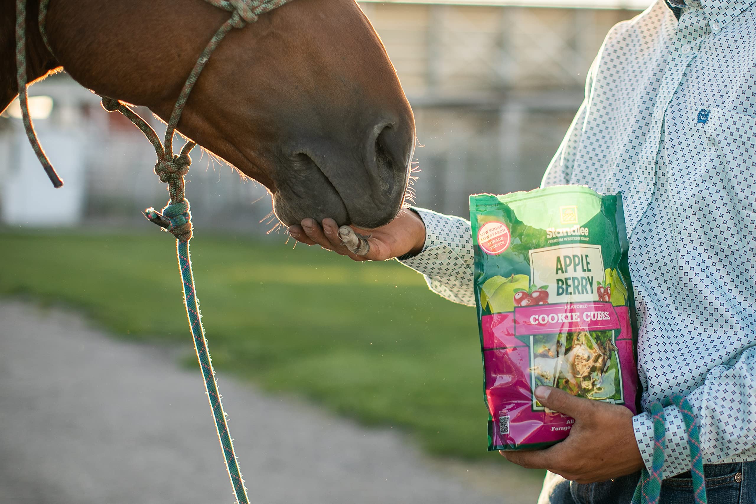 Standlee Apple Berry Cookie Cubes, Forage Based Horse Treat, 5Lb